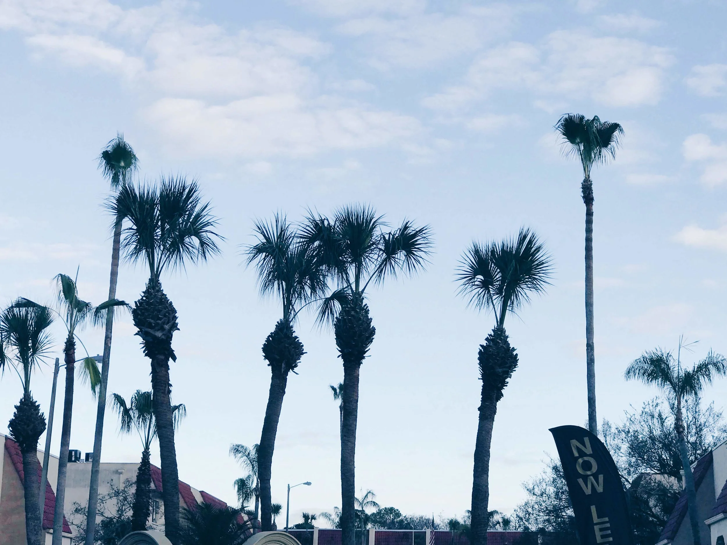 2018-10-26 12.02.55 3.jpg