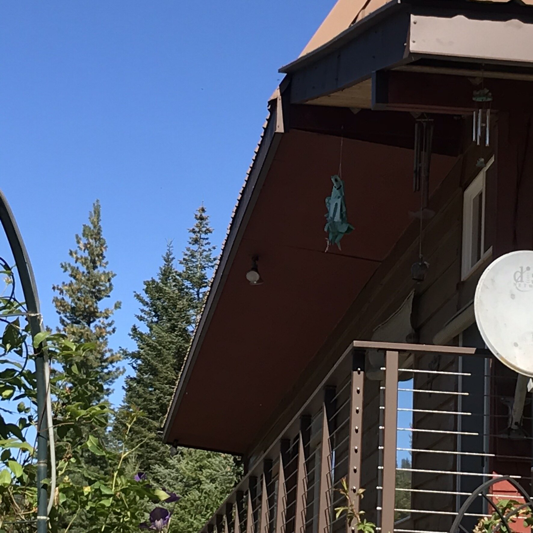 oleflashingafter1 (3).JPEG