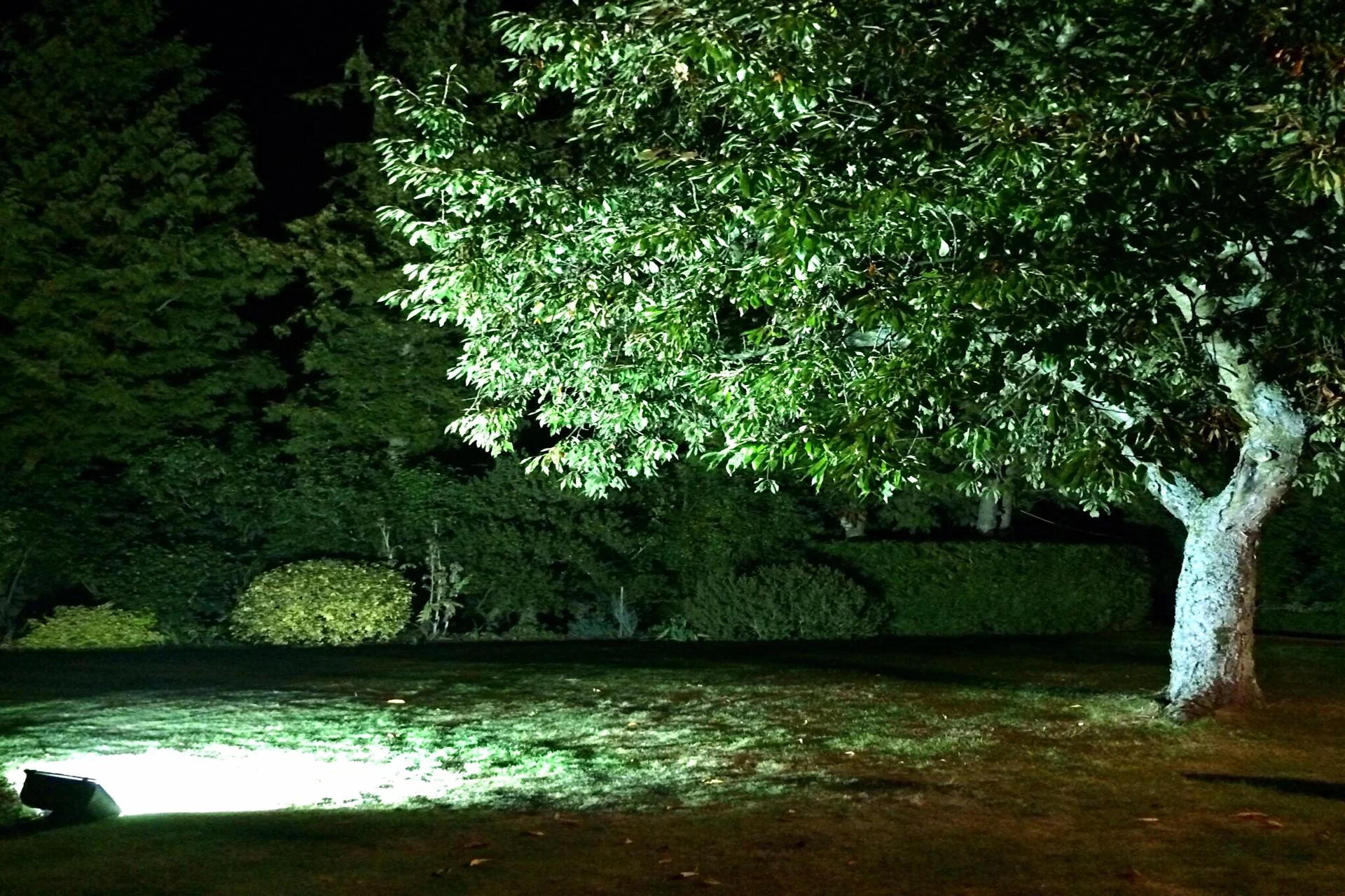 _lighting_15134414438_o-1920x1280.jpg