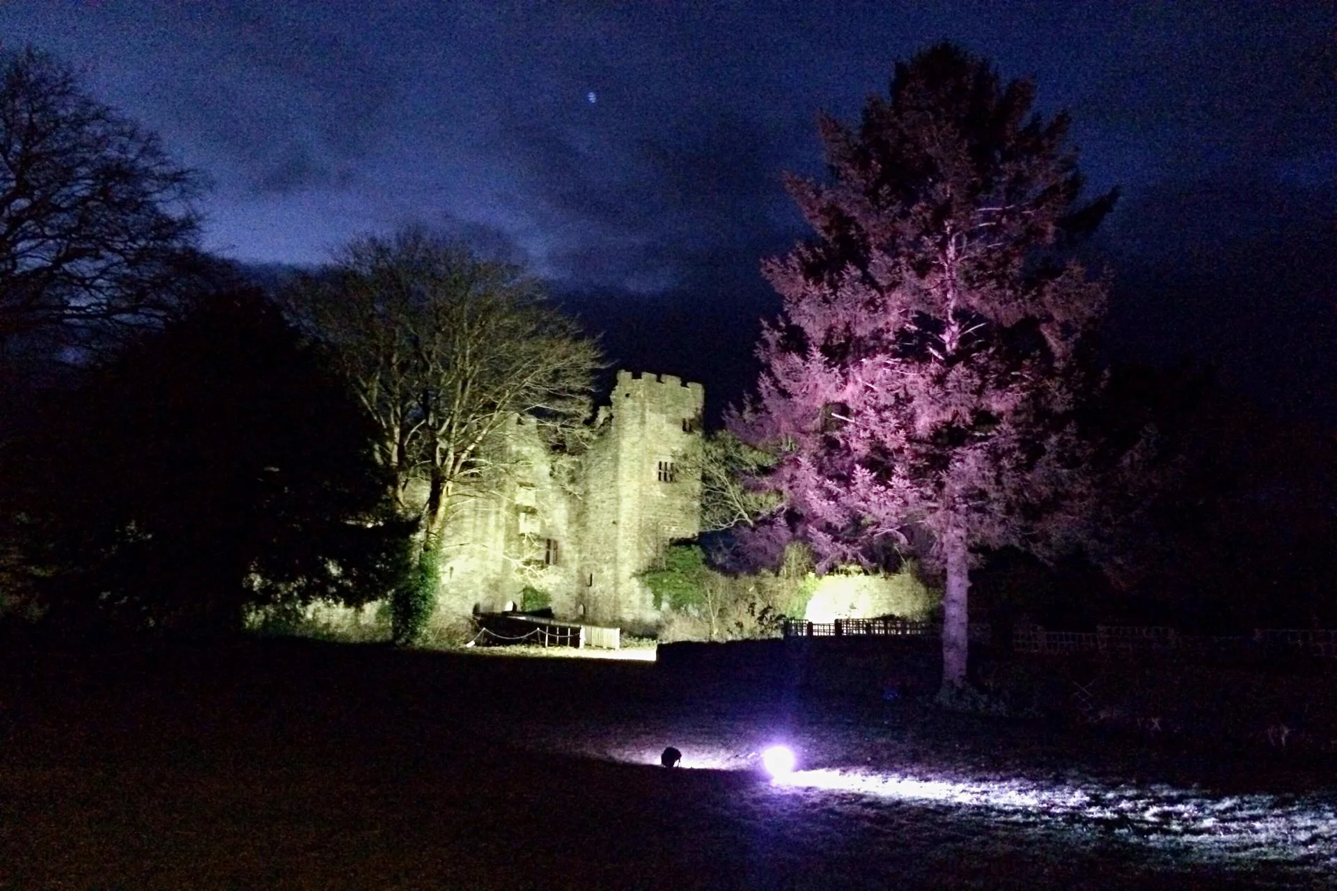 castle-uplighting_16046277196_o-1920x1280.jpg