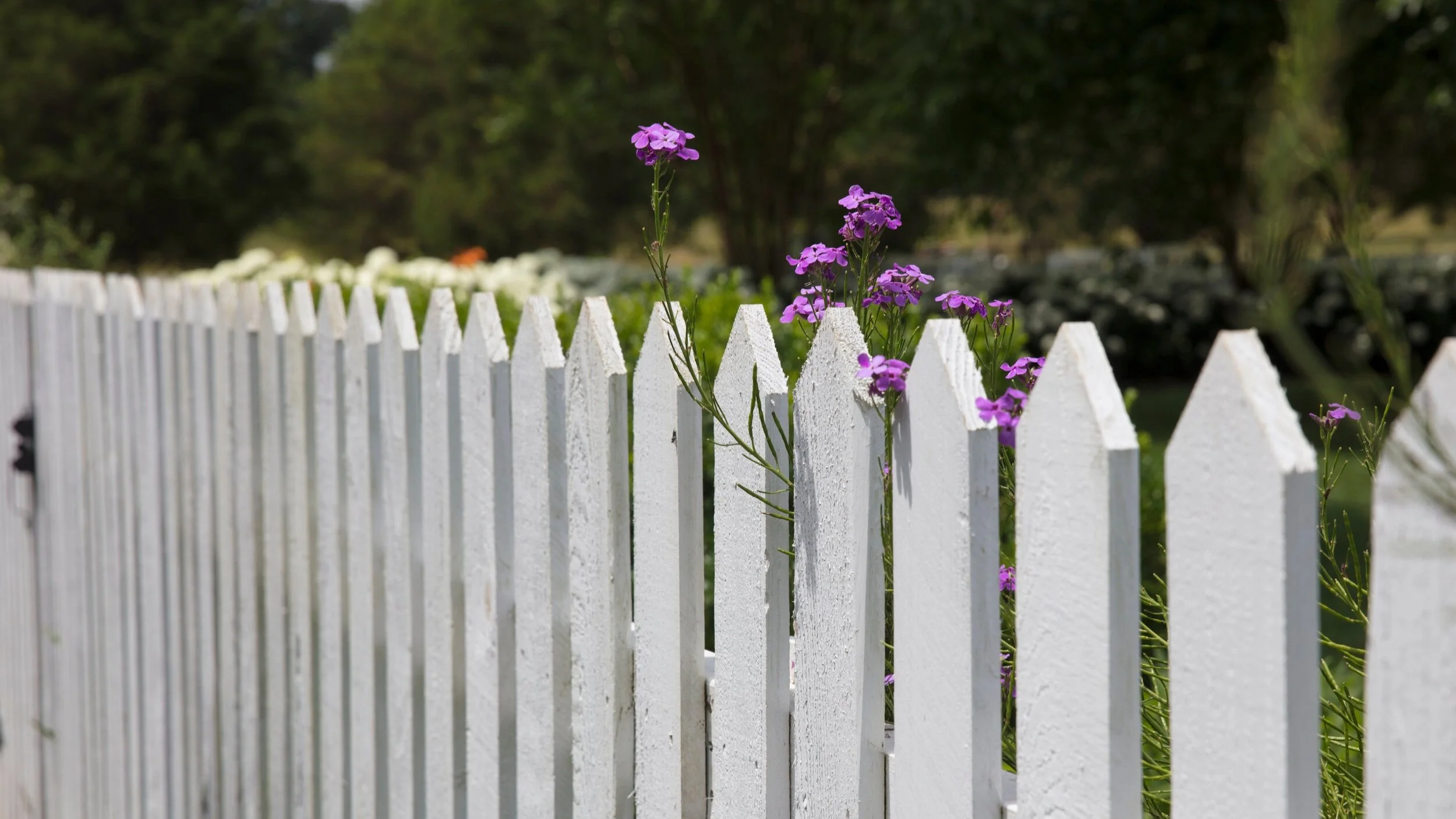  4 Best Fencing Materials For Colorado Homes