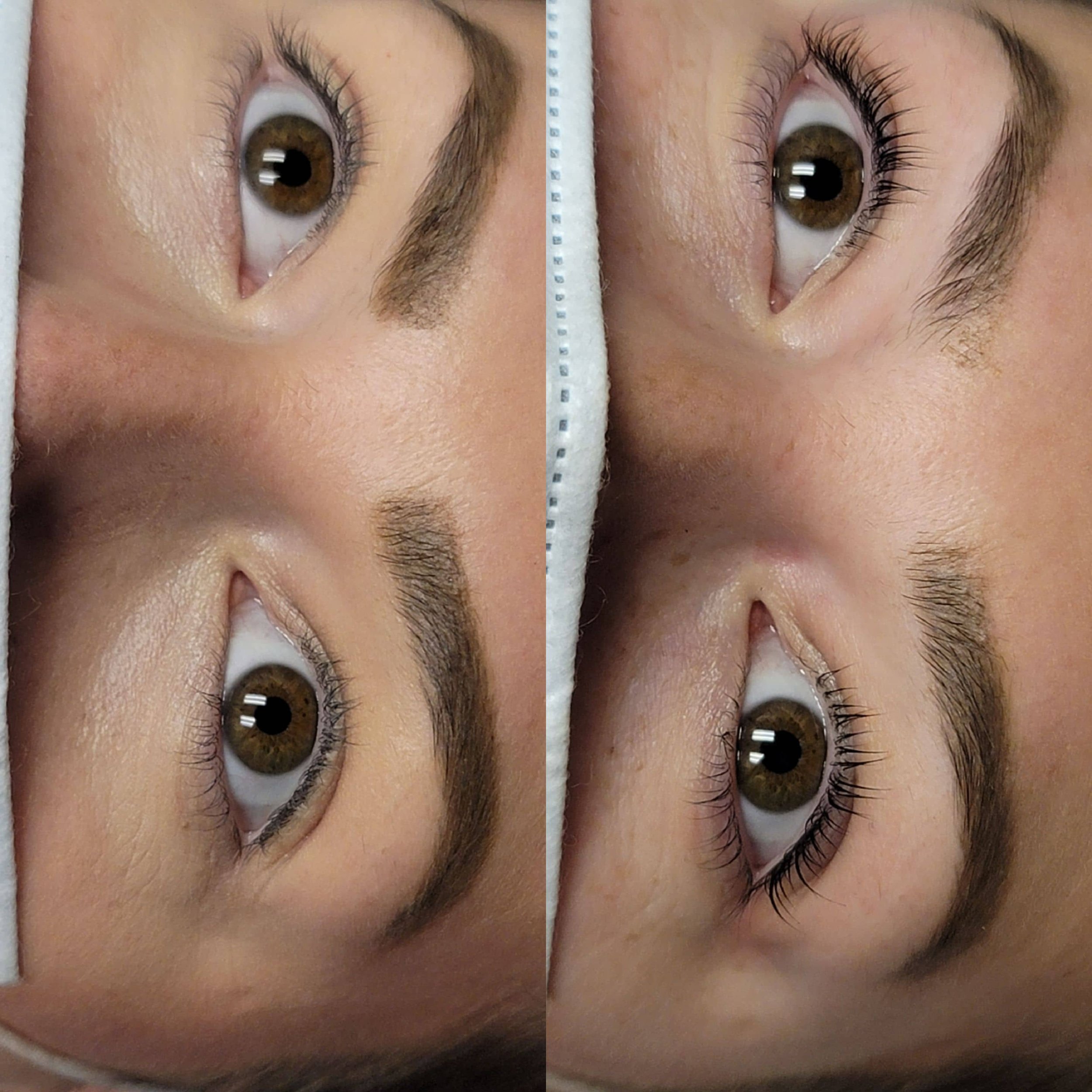 Lash lift tin and brow shaping with tint