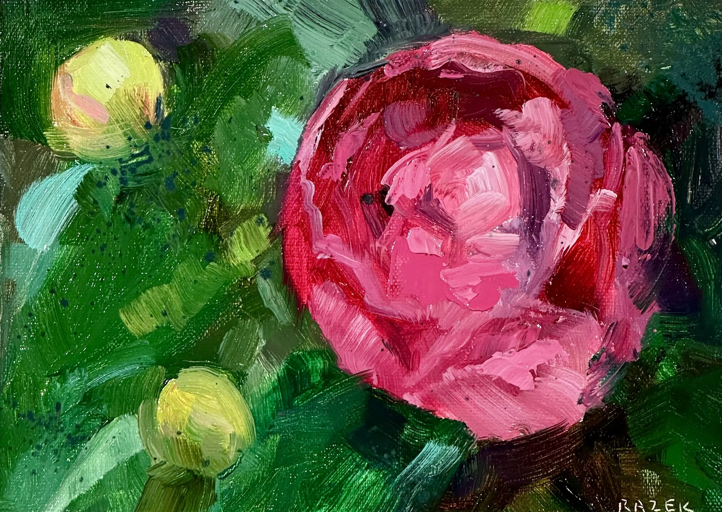 Pink Peony, 5x7, $175, Oil on panel.jpeg