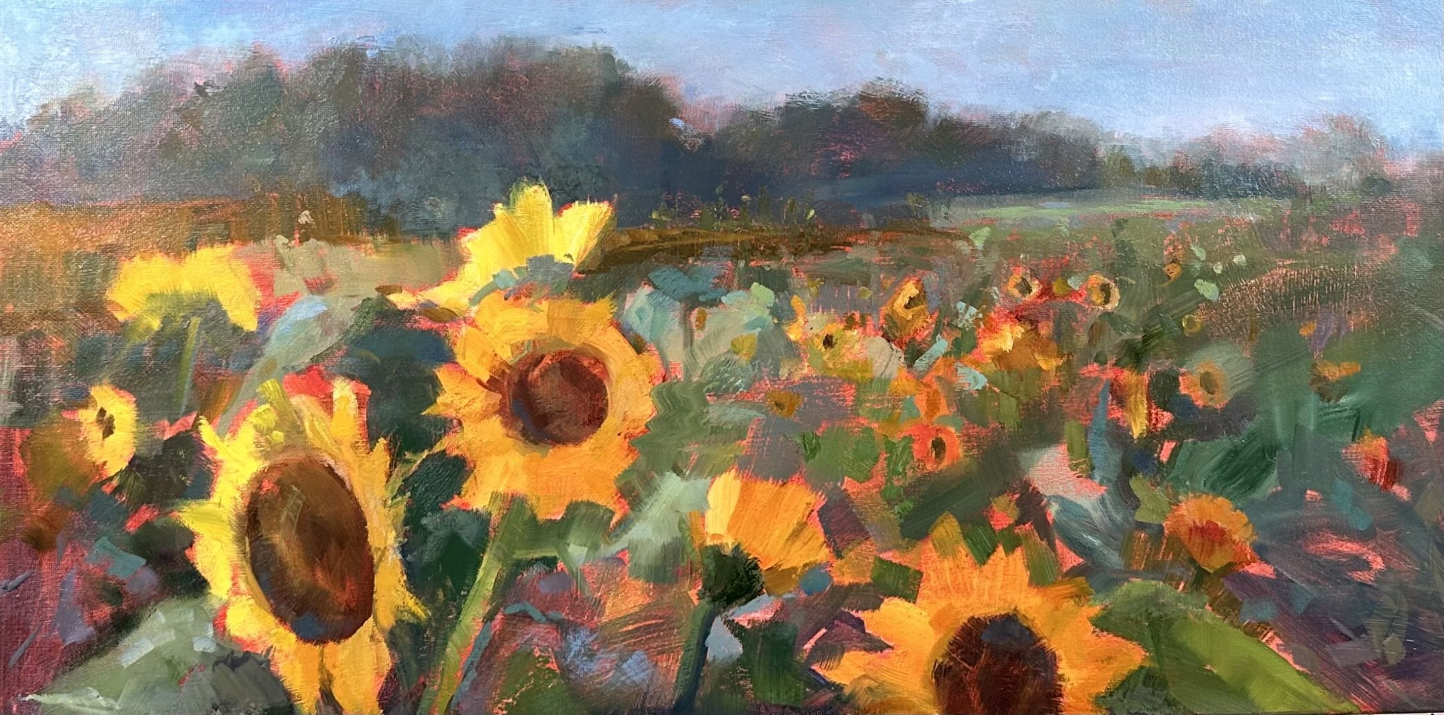 Lynd's+Field,+12+x+24,+$375,+Oil+on+canvas,+framed+.jpeg