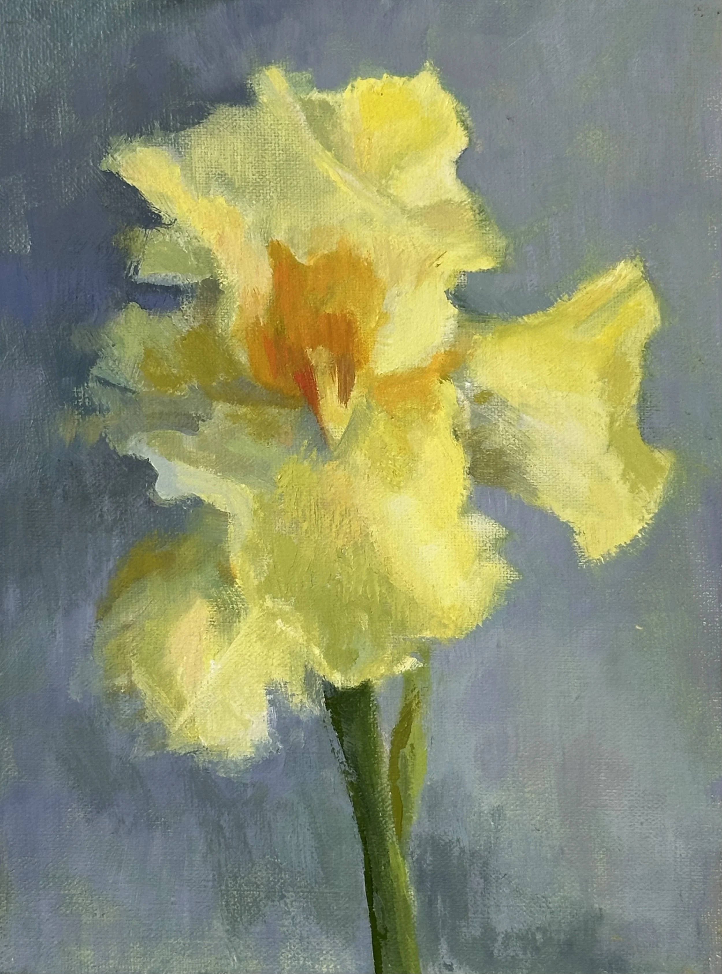 Sun Shine In, 6x8, $175.jpeg