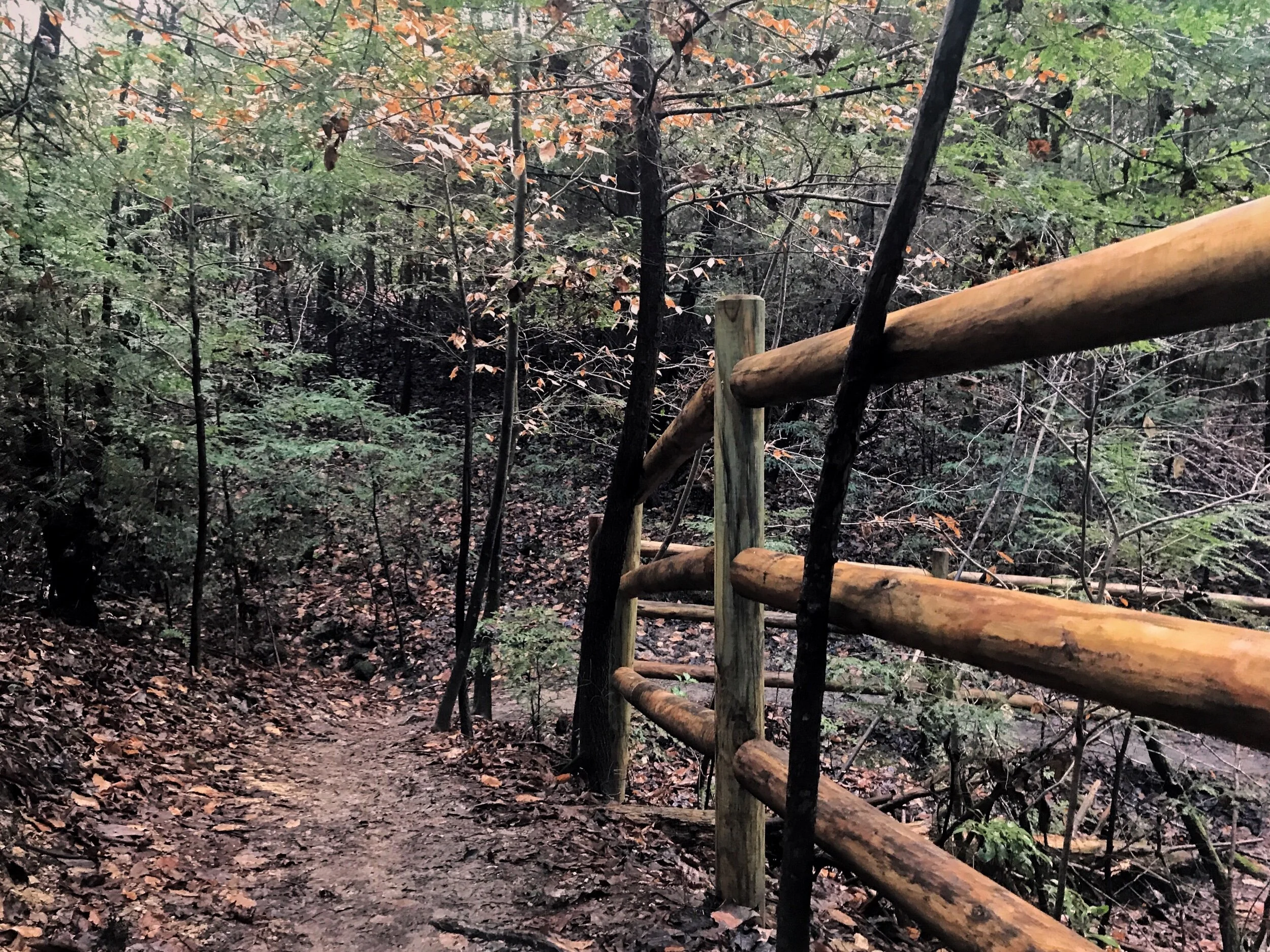 Daily Meditations From Richard Rohr