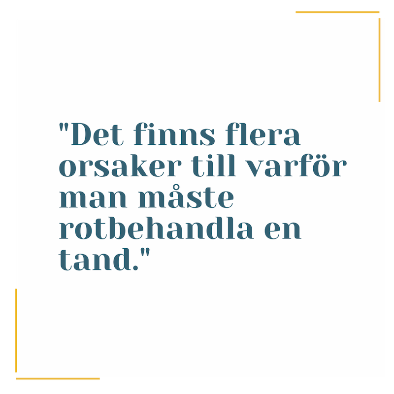 4.png-rotbehandla