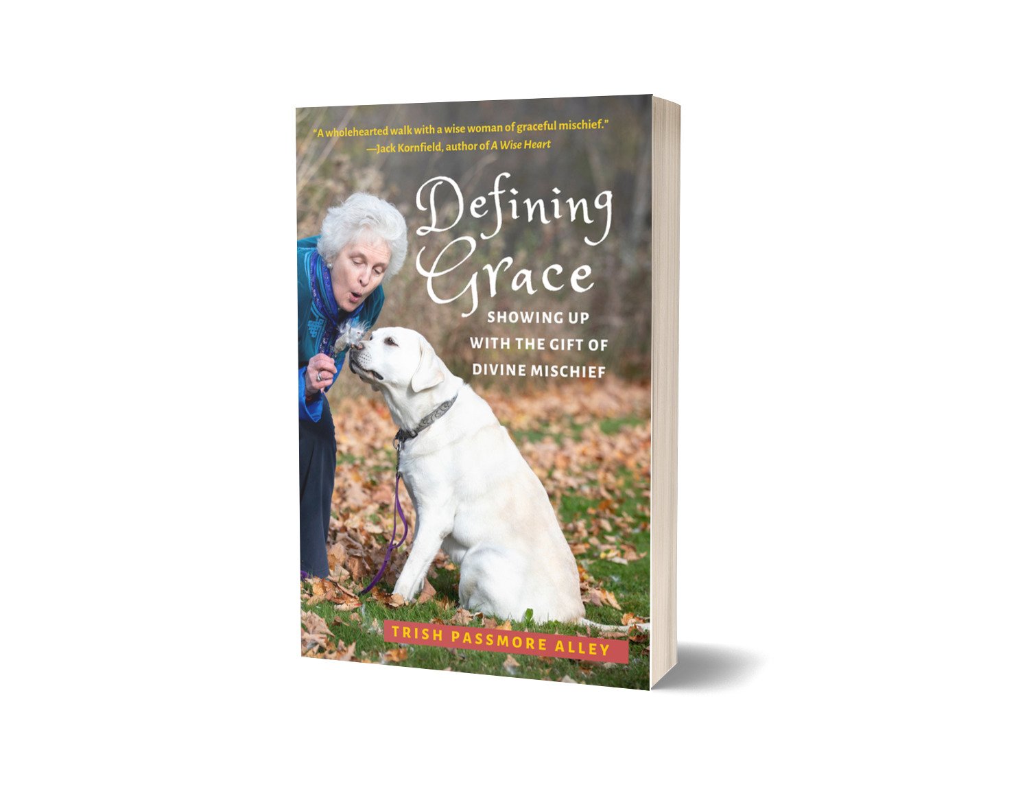 Defining Grace