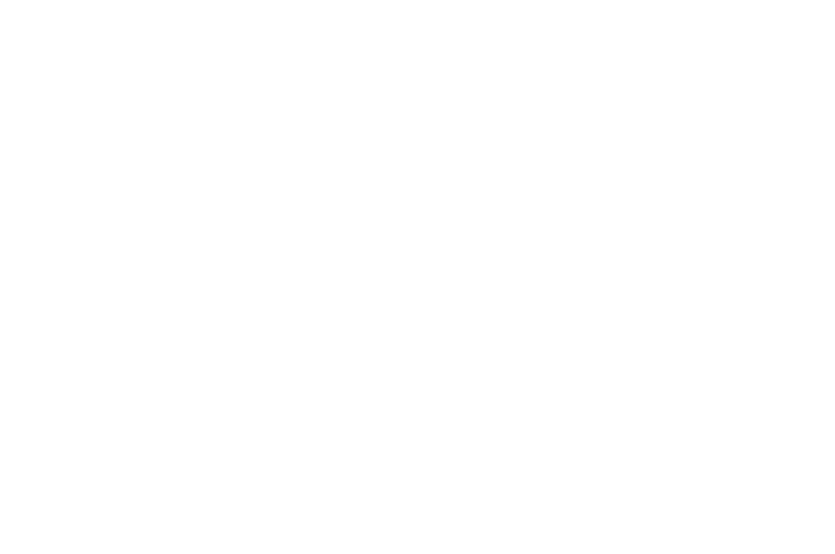 Partnership for Economic Development