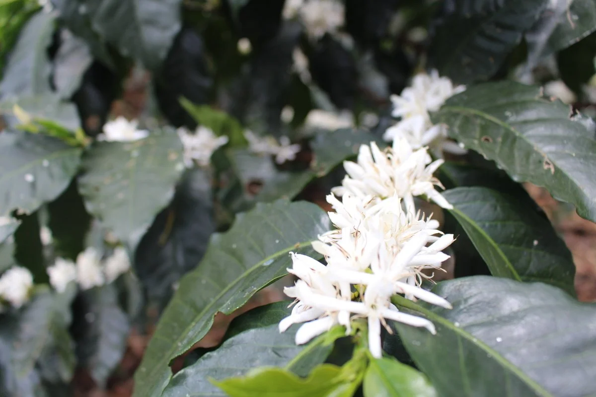 9395-IMG_3645 - copia.JPG