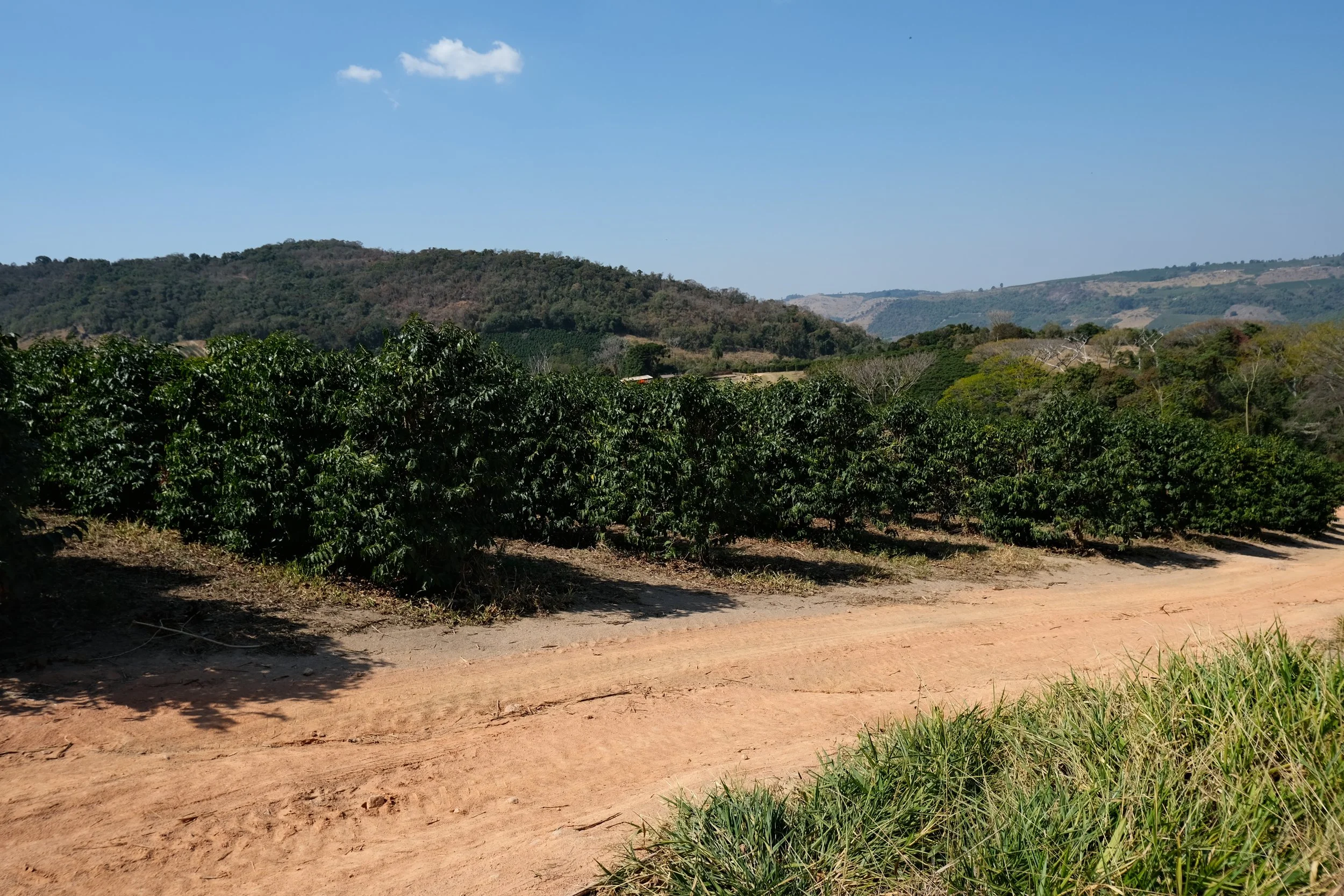 A rural landscape with a dirt road, green shrubs, rolling hills, and a clear blue sky with a few clouds.