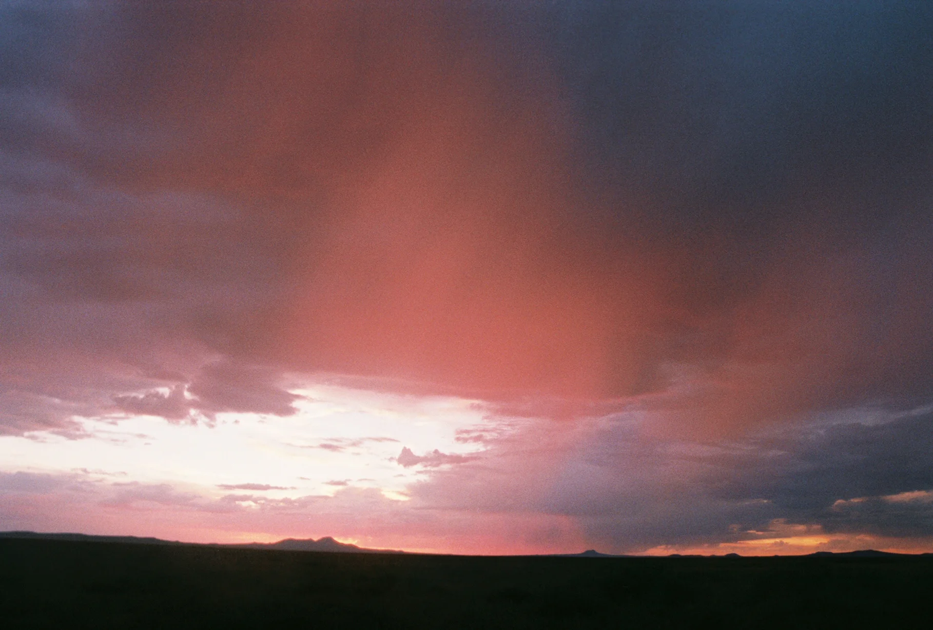 0653pet-R1-047-22.jpg