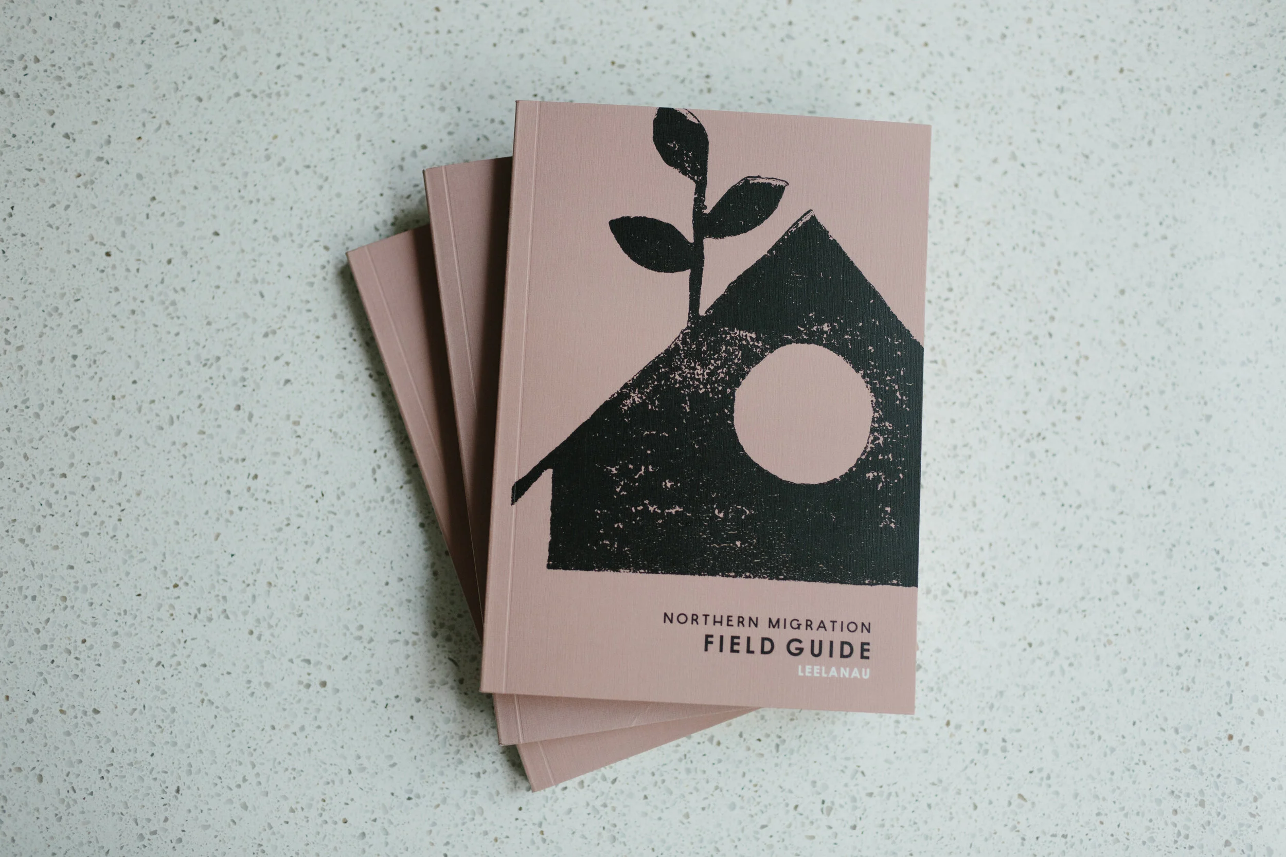 Field Guide for Squarespace.jpg