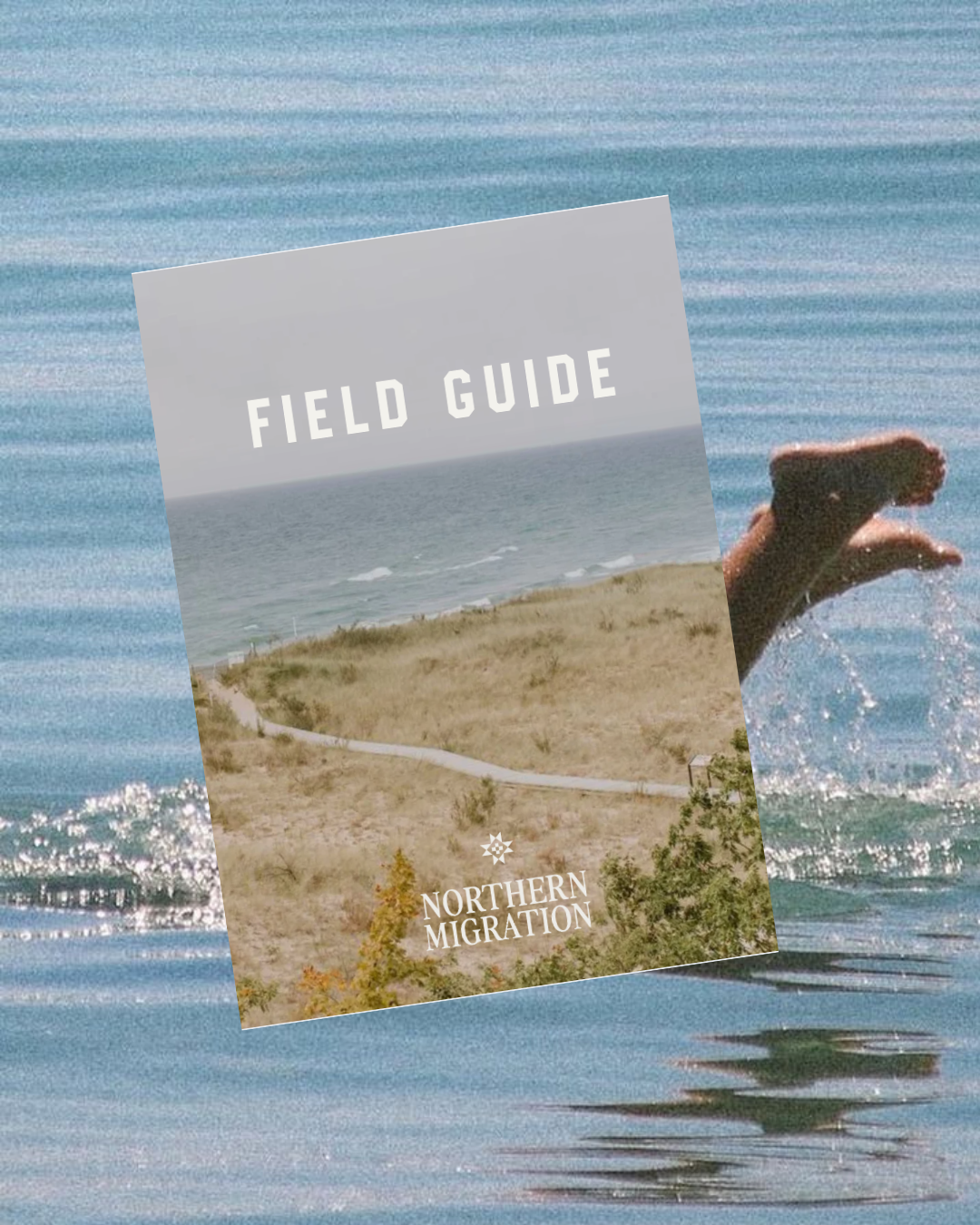 Field Guide Website.png