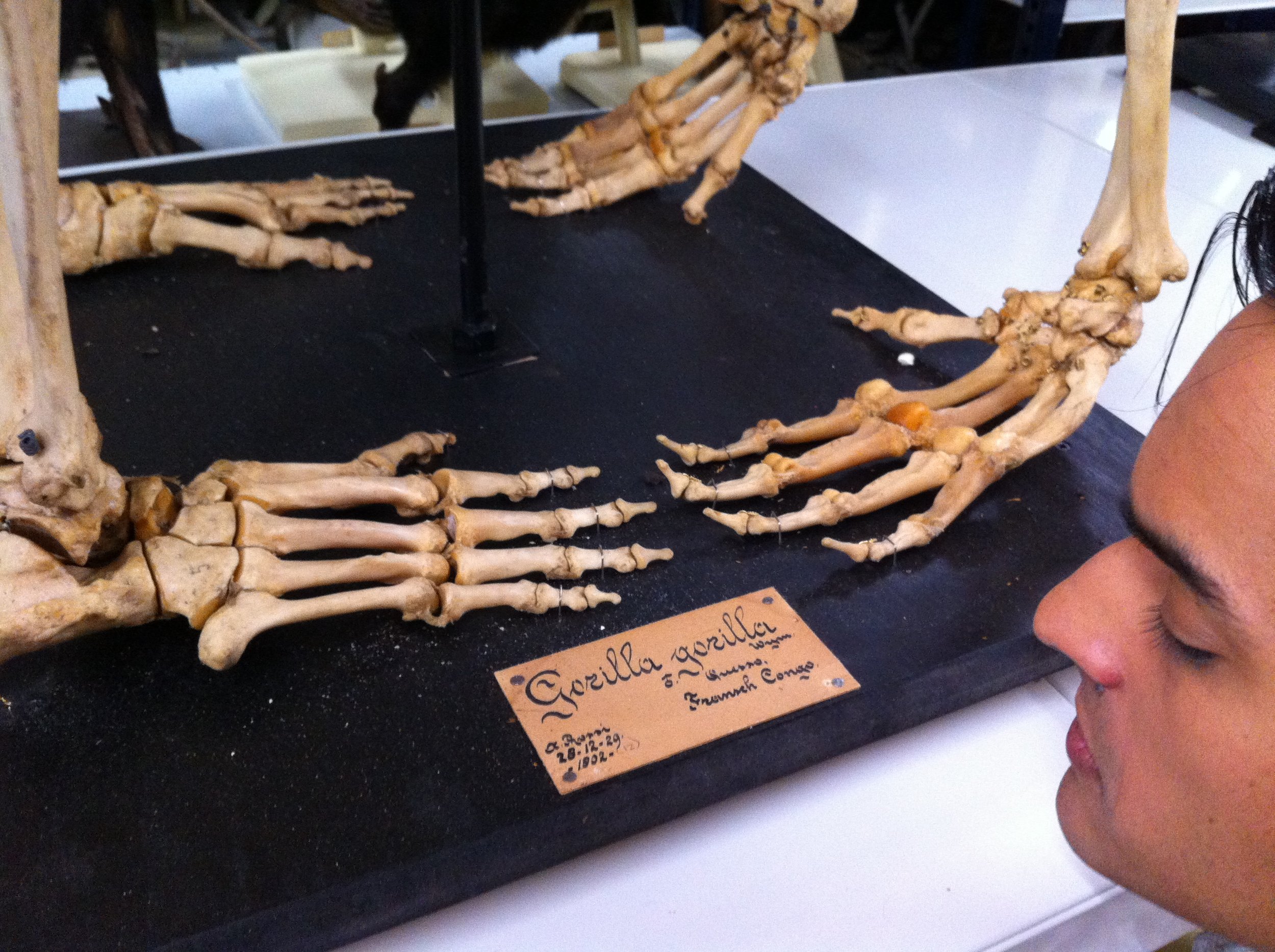 Photo 09-12-12 15 02 14.jpg