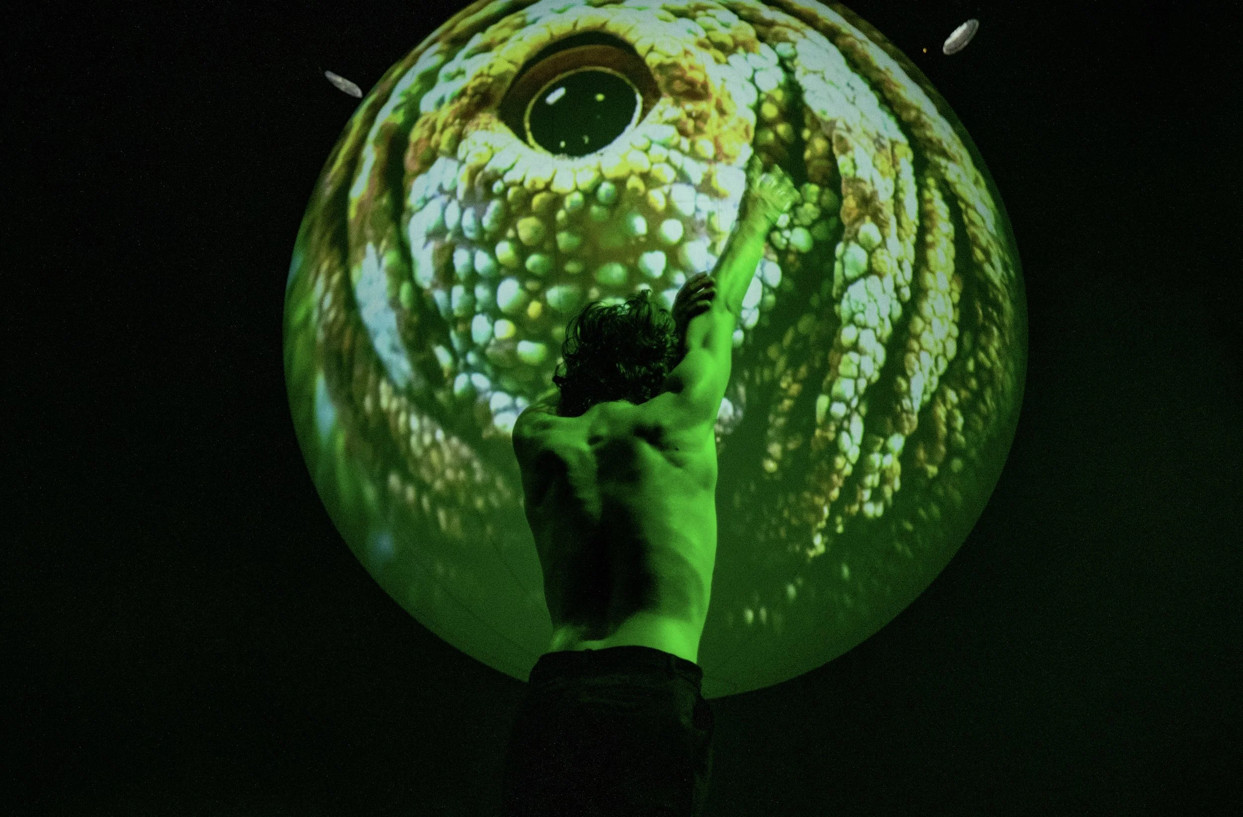 WE, the EYES - Emio Greco:Pieter C. Scholten fotocredits Alex Avgud2.jpg