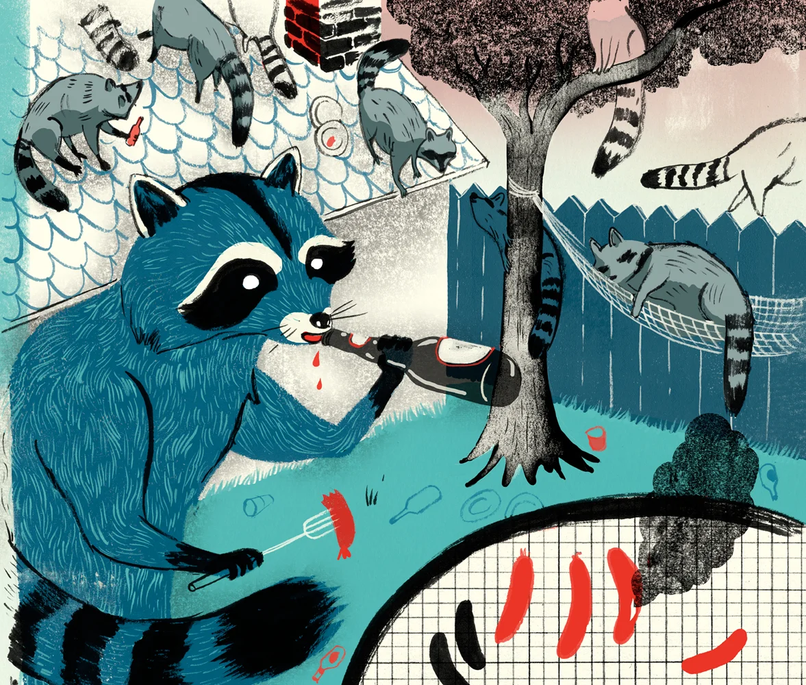 Raccoon Menace