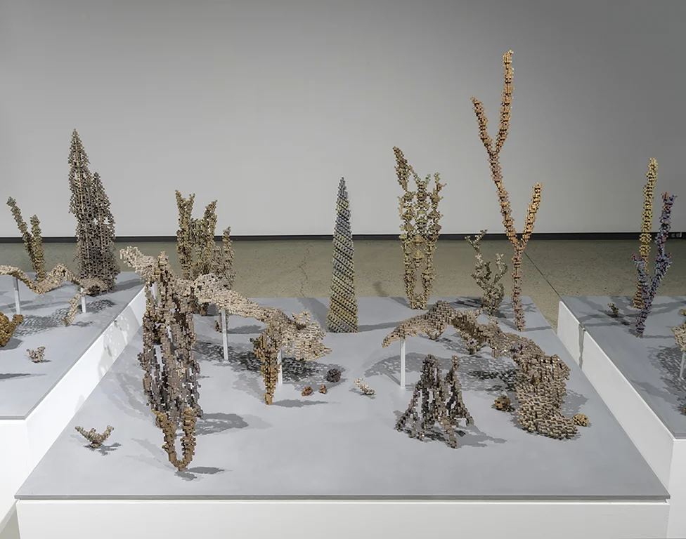 Récif, extrait 5, 2015 bronze 152,4 cm x 152,4 cm x 157,48 cm