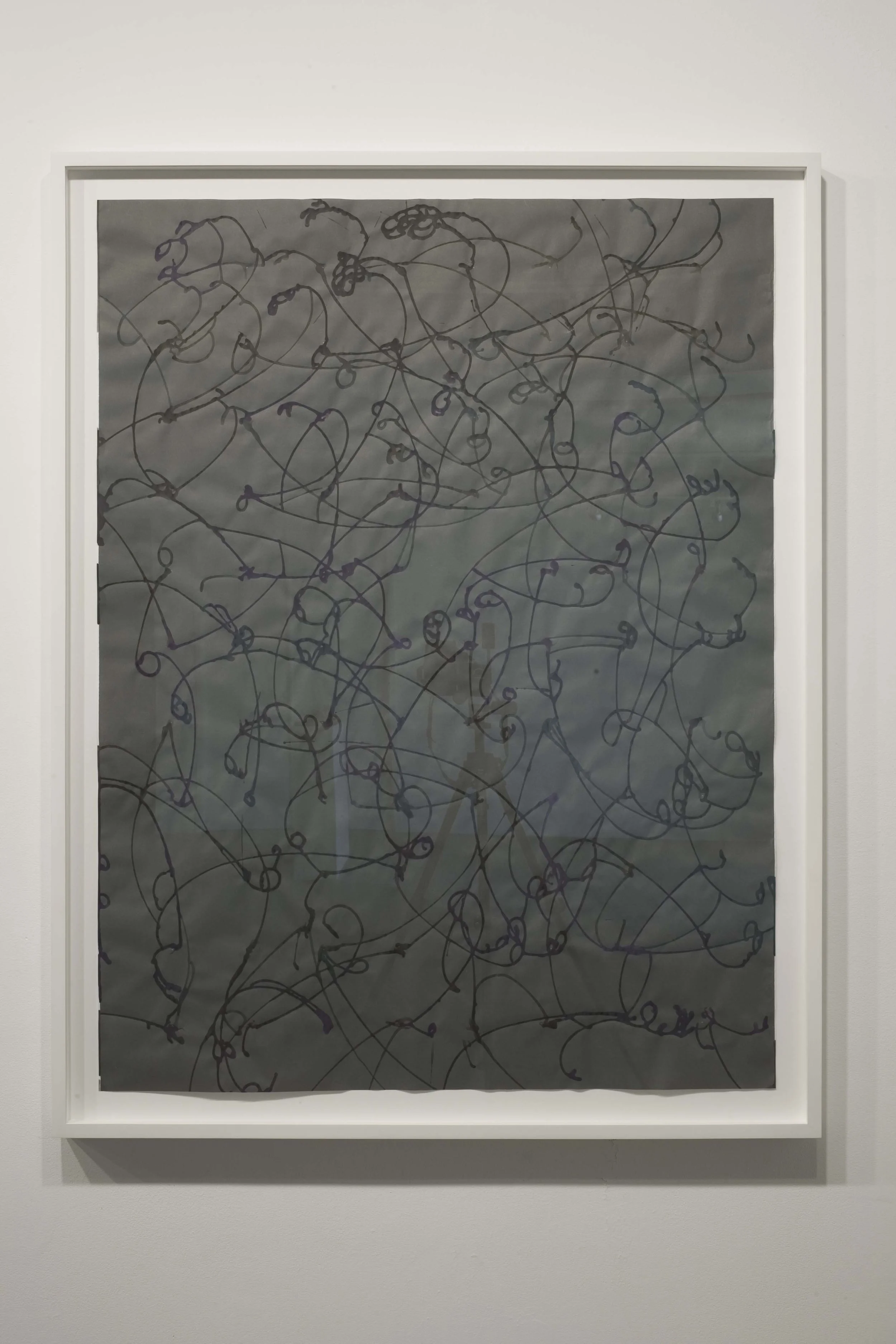  Duo-Orbites II, 2007  encre sur papier  122 cm x 91 cm 