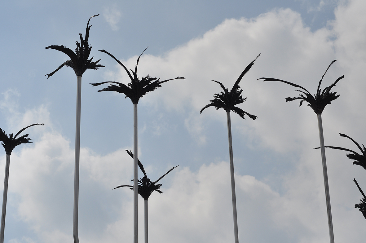 PC_Vortex détail 2_2011.JPG