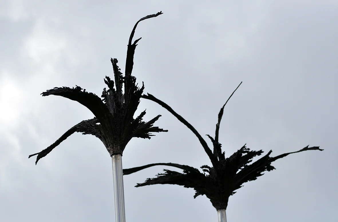 PC_Vortex détail 3_2011.JPG