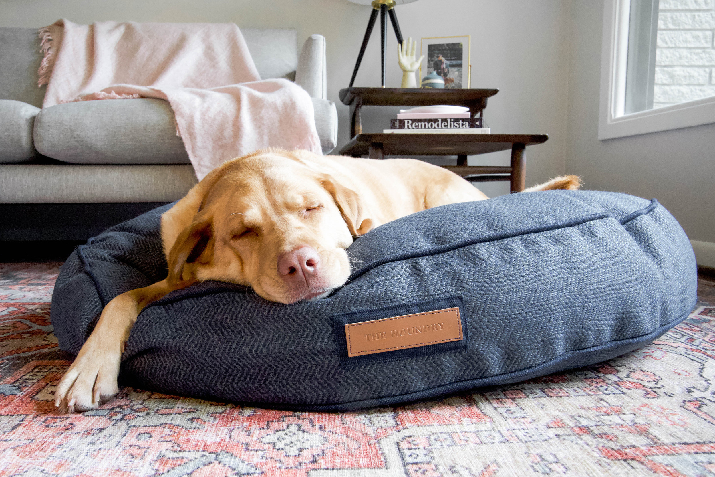 230009-Navy Newfie-The Houndry Pet Beds-Rect-2.jpg