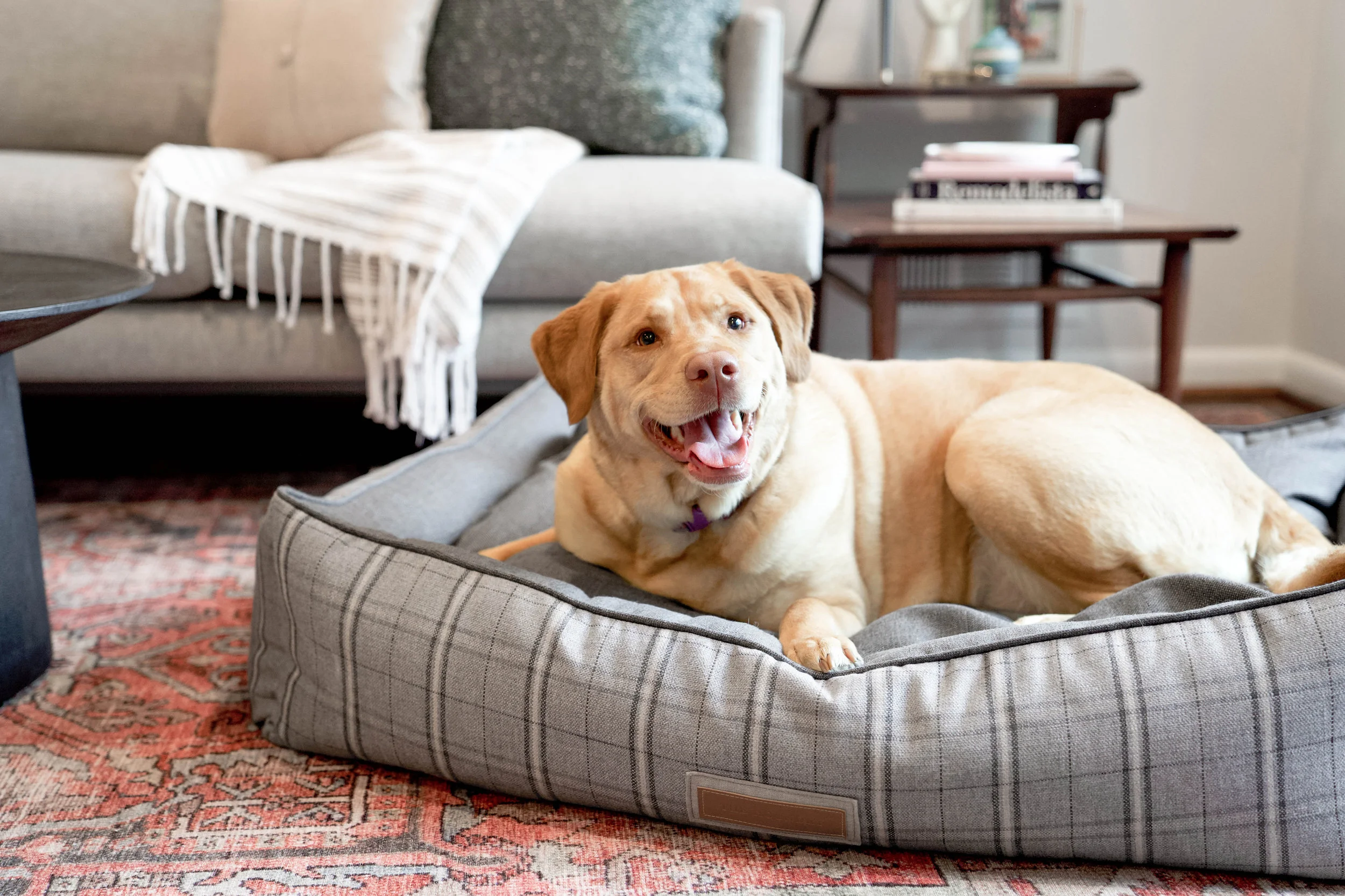 120013-Grey Hound-The Houndry Pet Beds-Rect-3.jpg