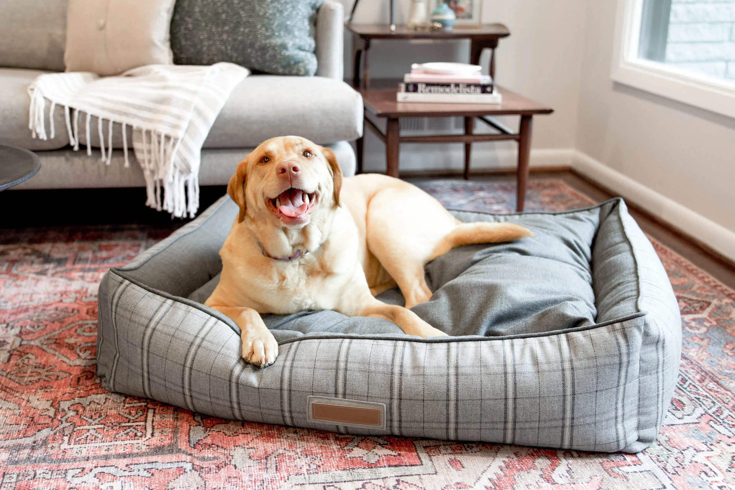 120013-Grey Hound-The Houndry Pet Beds-Rect-5.jpg