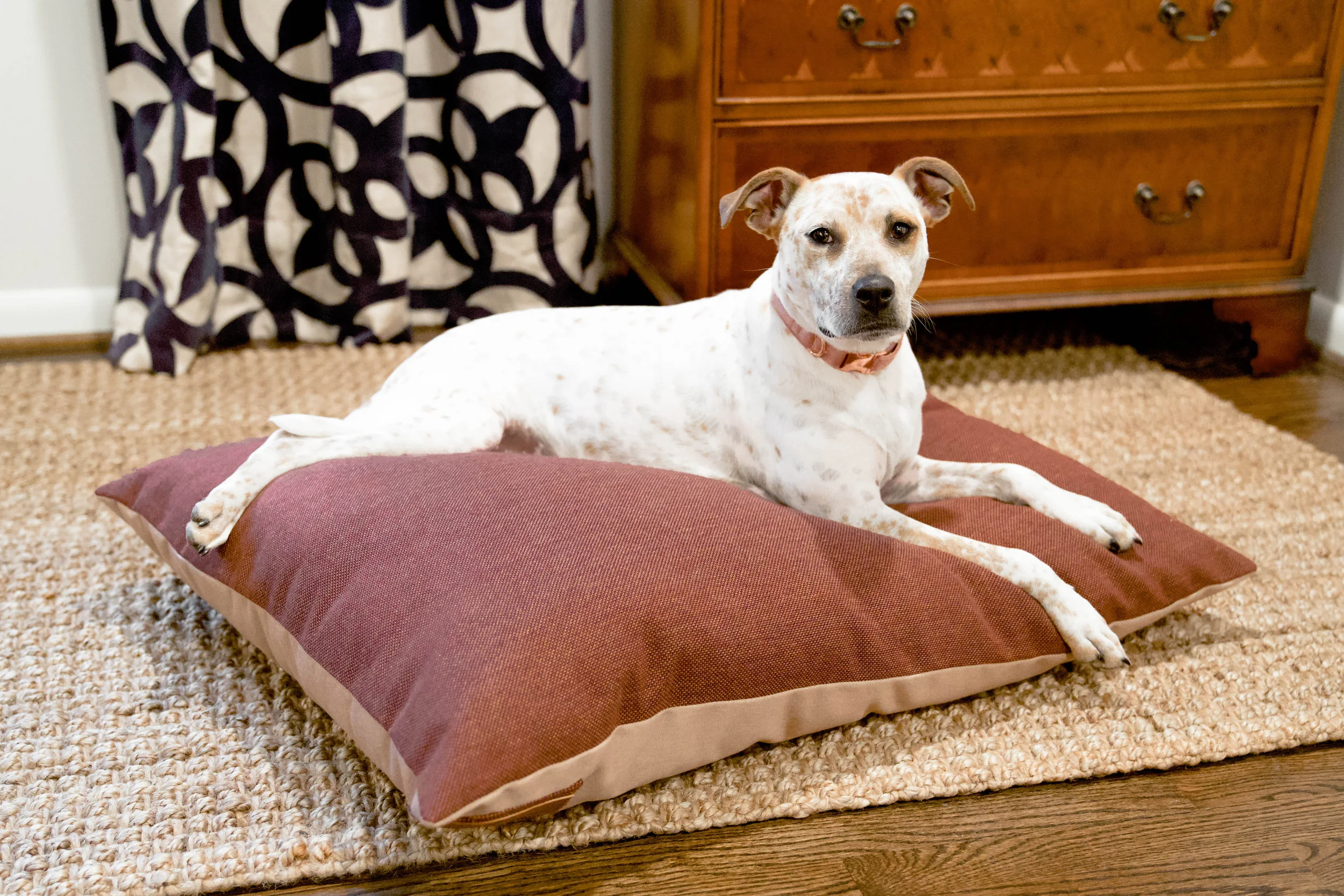 retriever pillow pet bed