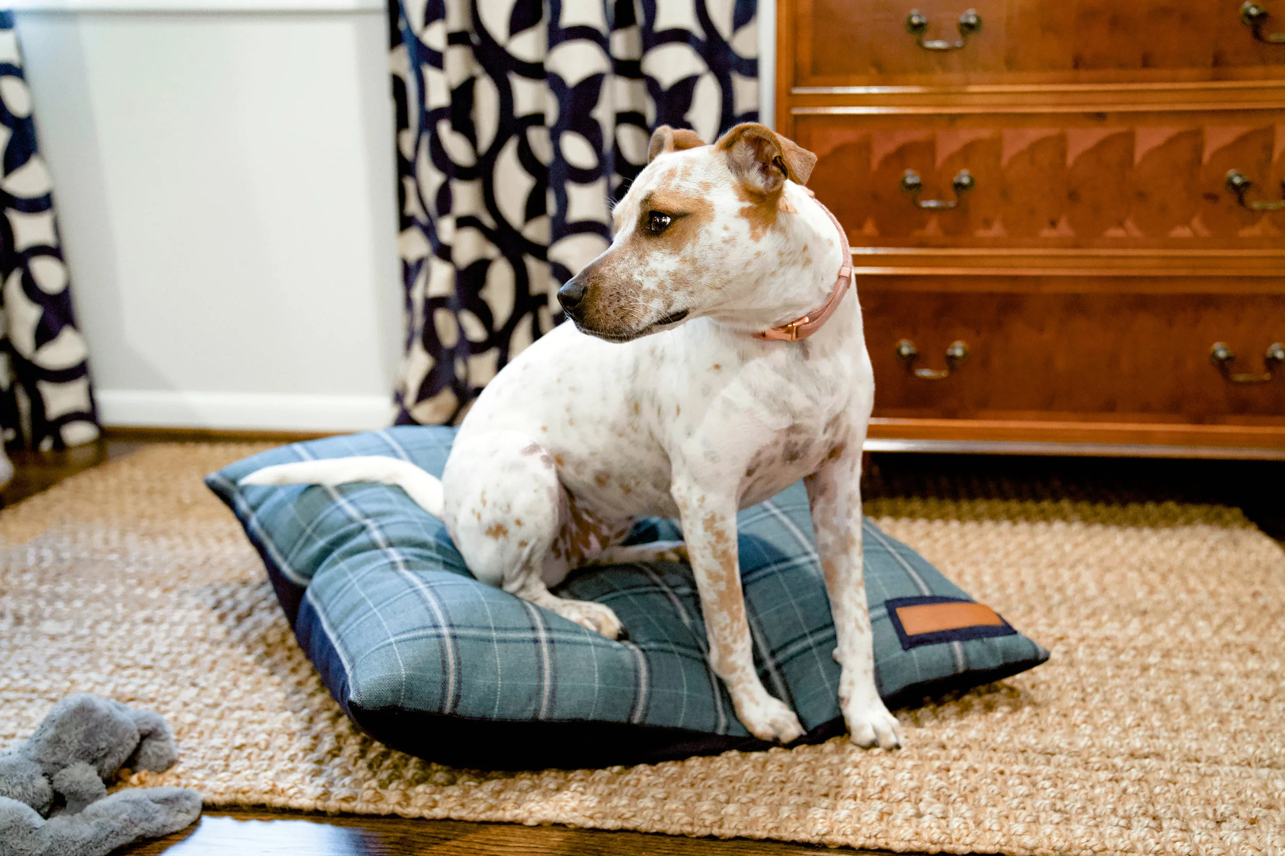 470004-Peacock Pooch-The Houndry Pet Beds-Rect-3.jpg
