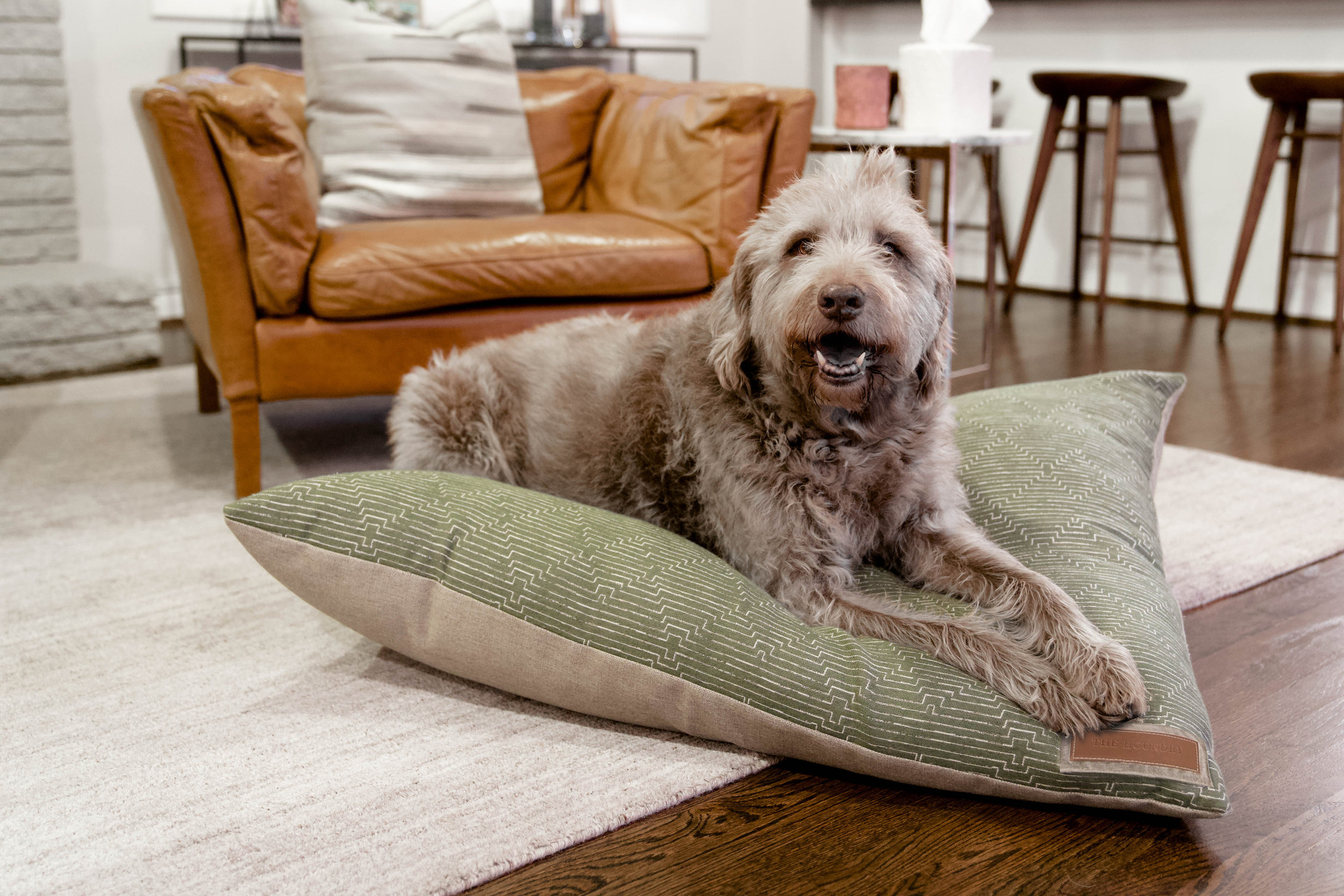 470007-Mossy Mutt-The Houndry Pet Beds-Rect-3.jpg
