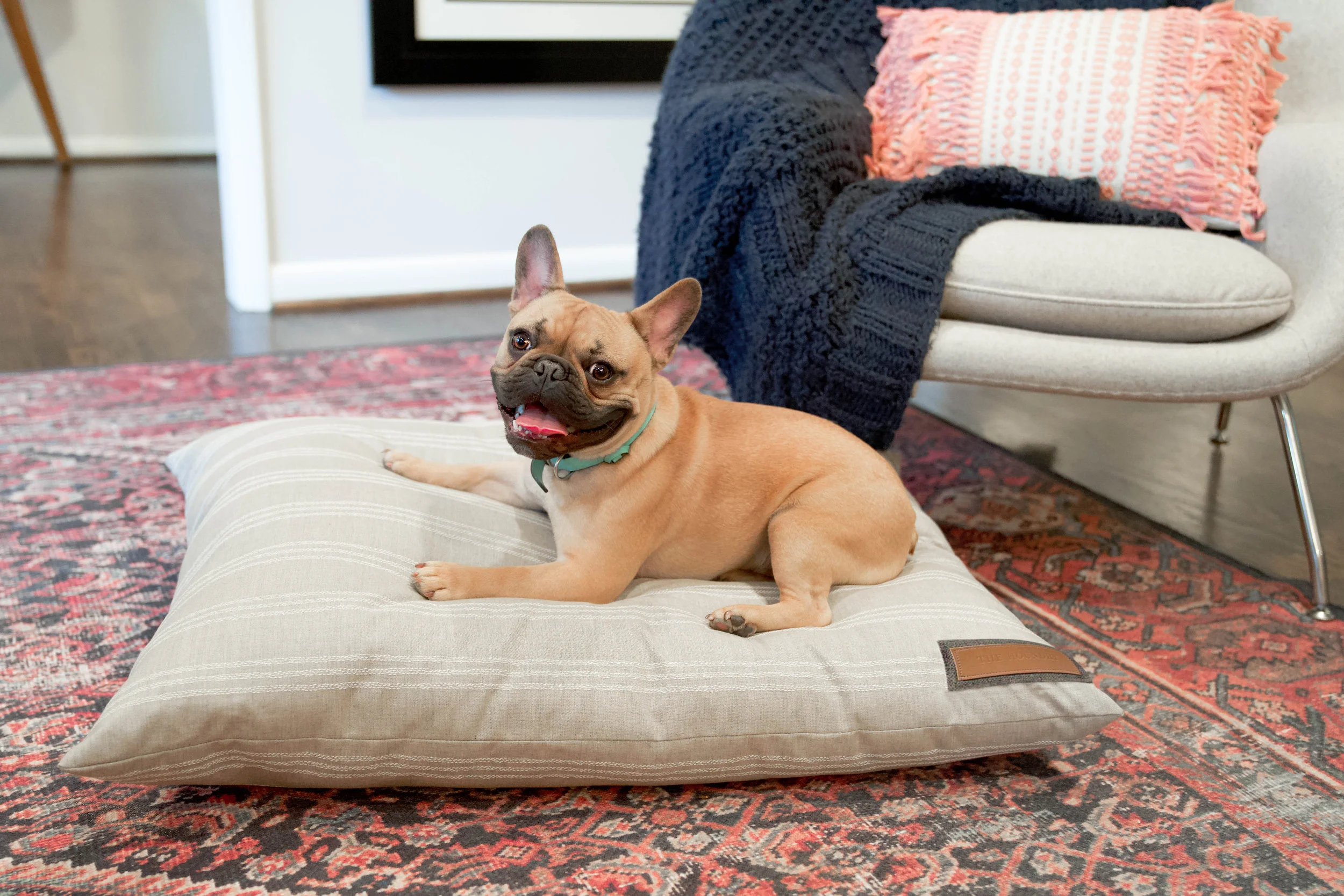 470015-Leashed Linen-The Houndry Pet Beds-Rect-4.jpg