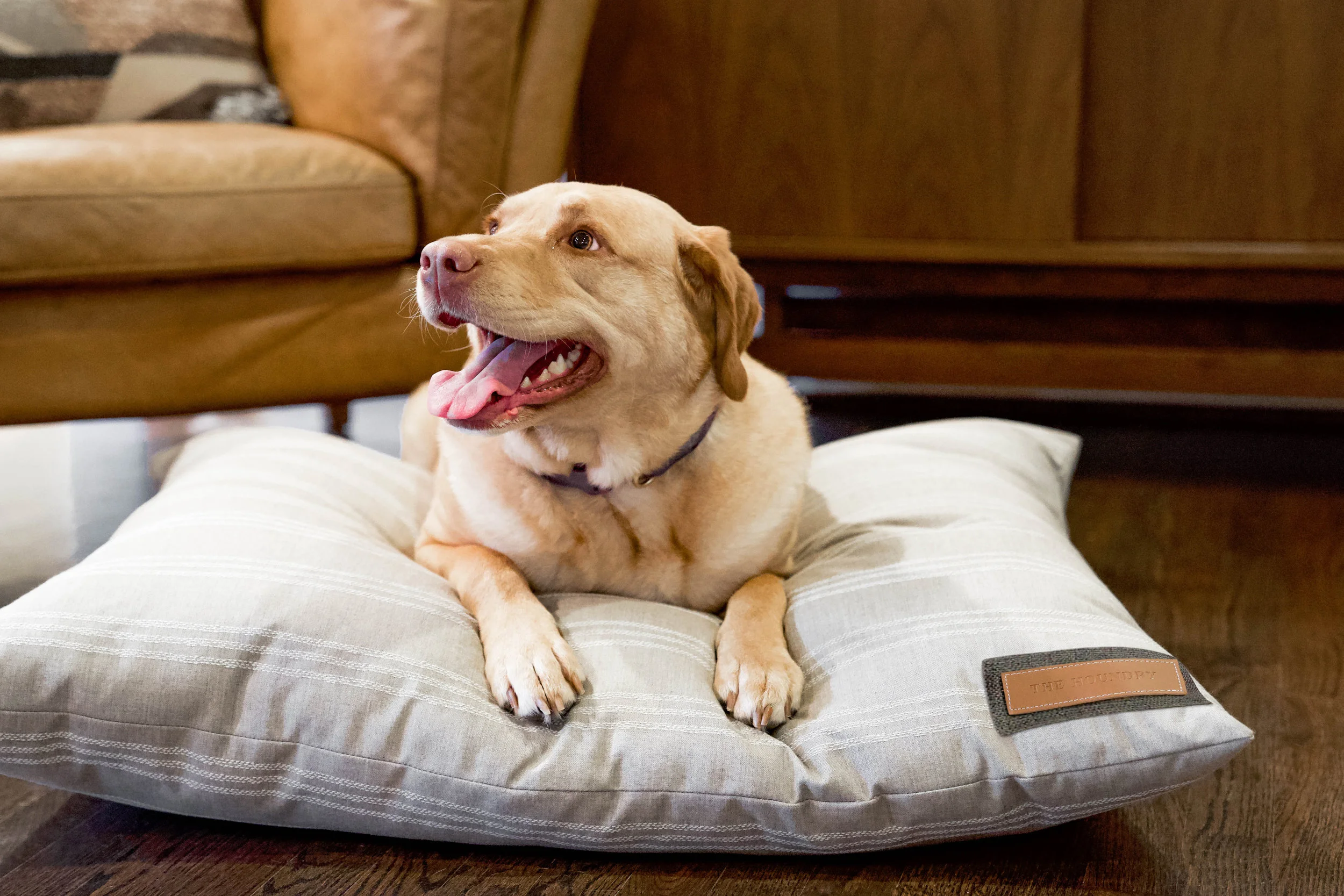 470015-Leashed Linen-The Houndry Pet Beds-Rect-5.jpg