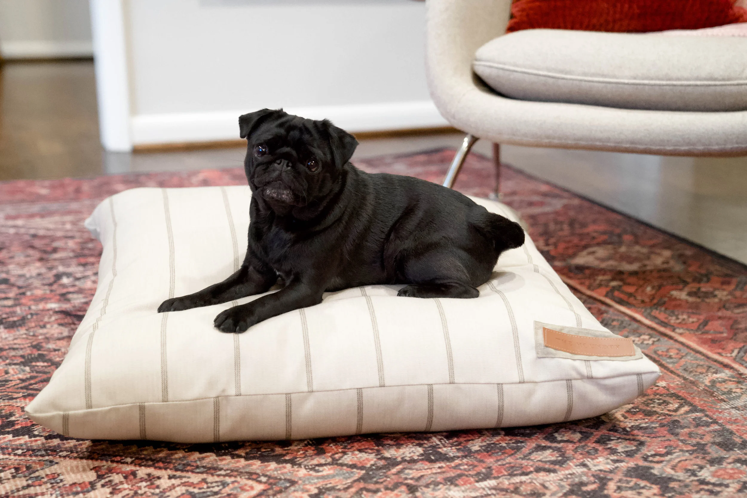 470016-Parchment Pointer-The Houndry Pet Beds-Rect-3.jpg