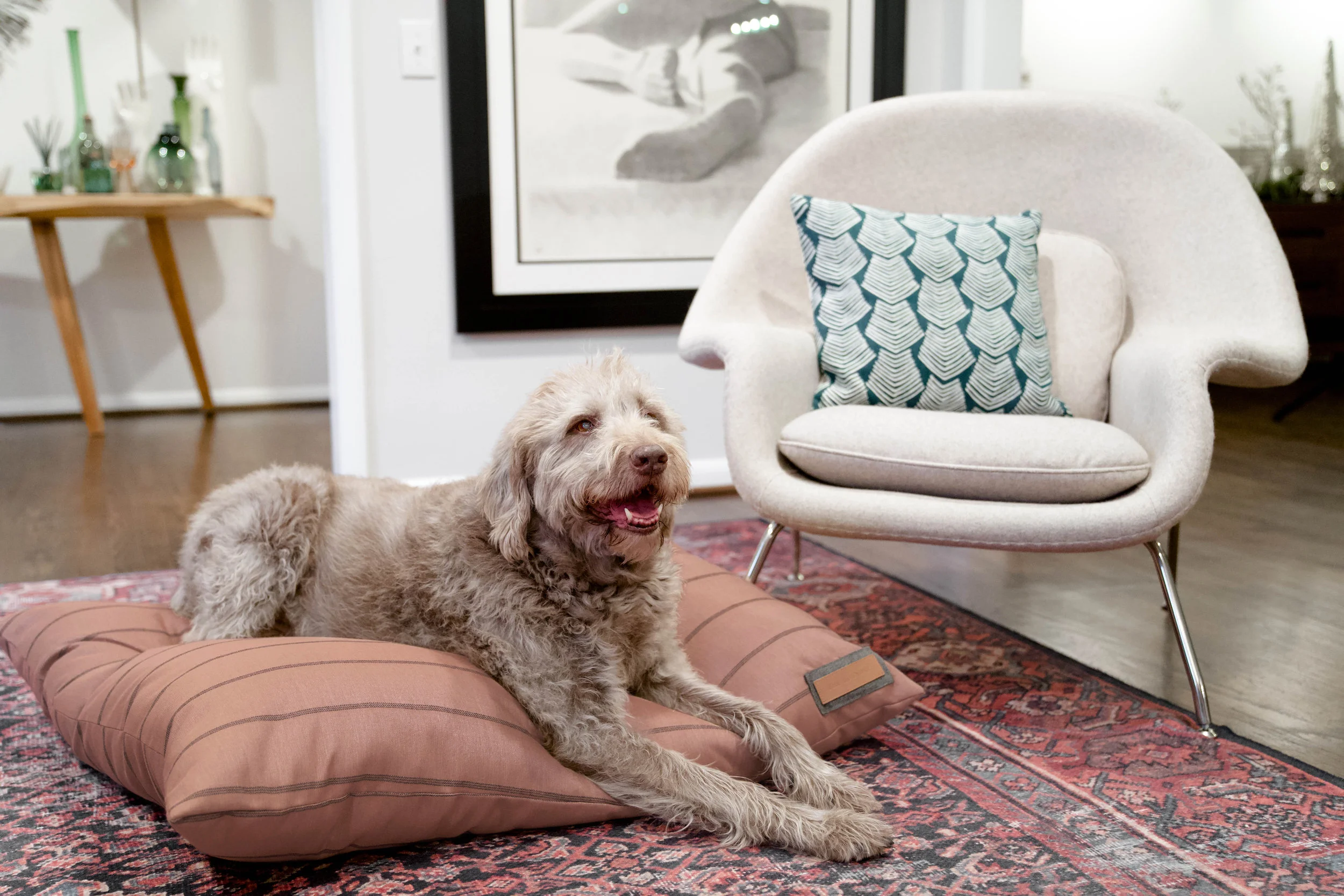 470017-Blushing Basset-The Houndry Pet Beds-Rect-4.jpg