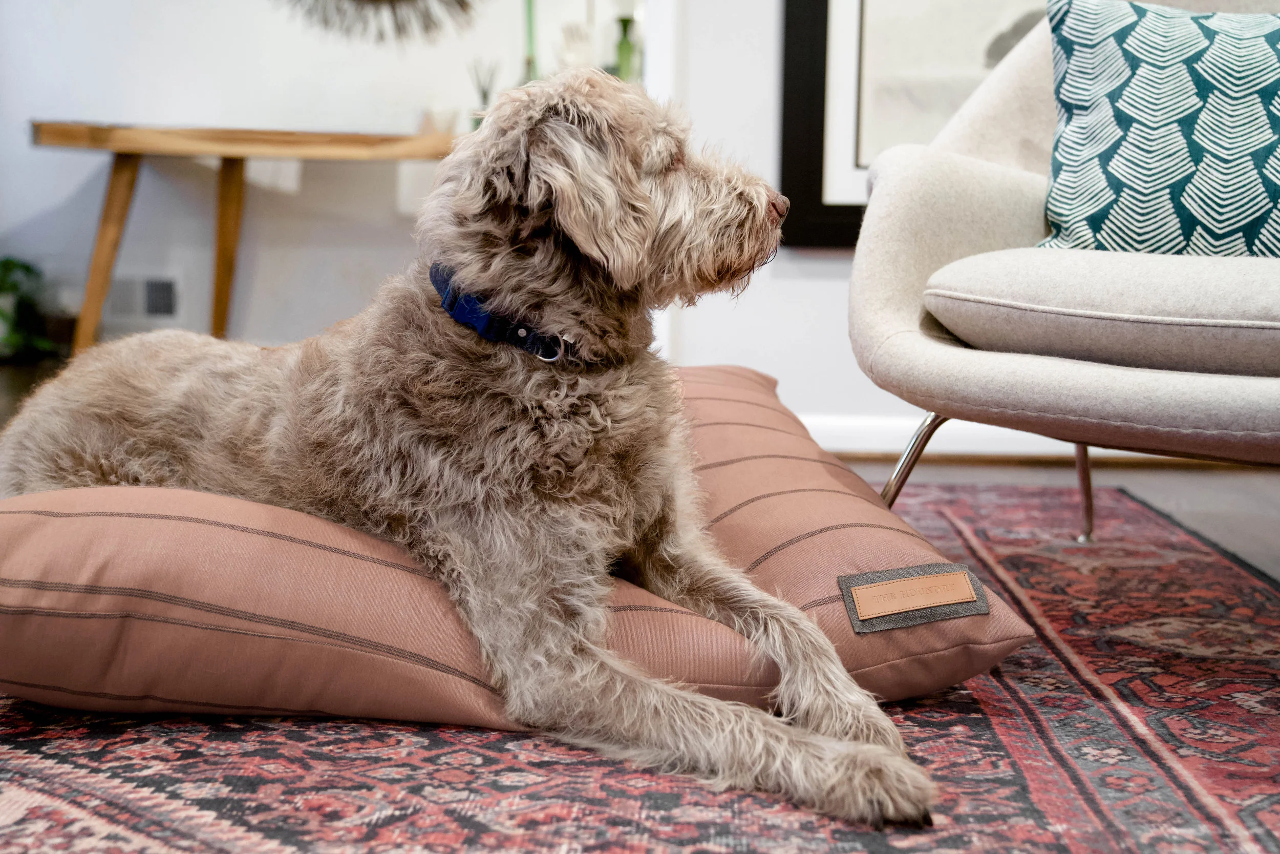 470017-Blushing Basset-The Houndry Pet Beds-Rect-3.jpg