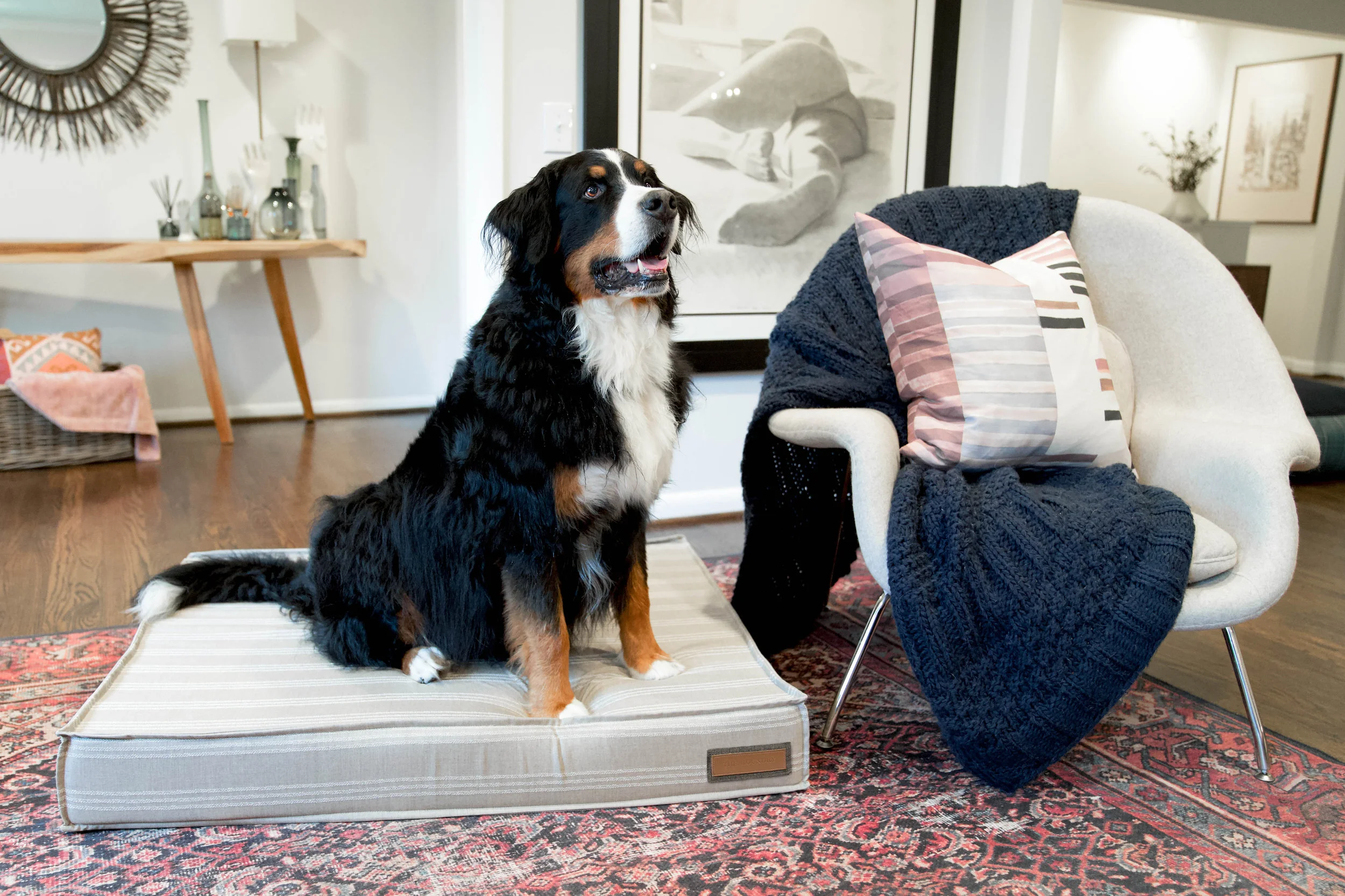 560004-Leased Linen-The Houndry Pet Beds-Rect-4.jpg