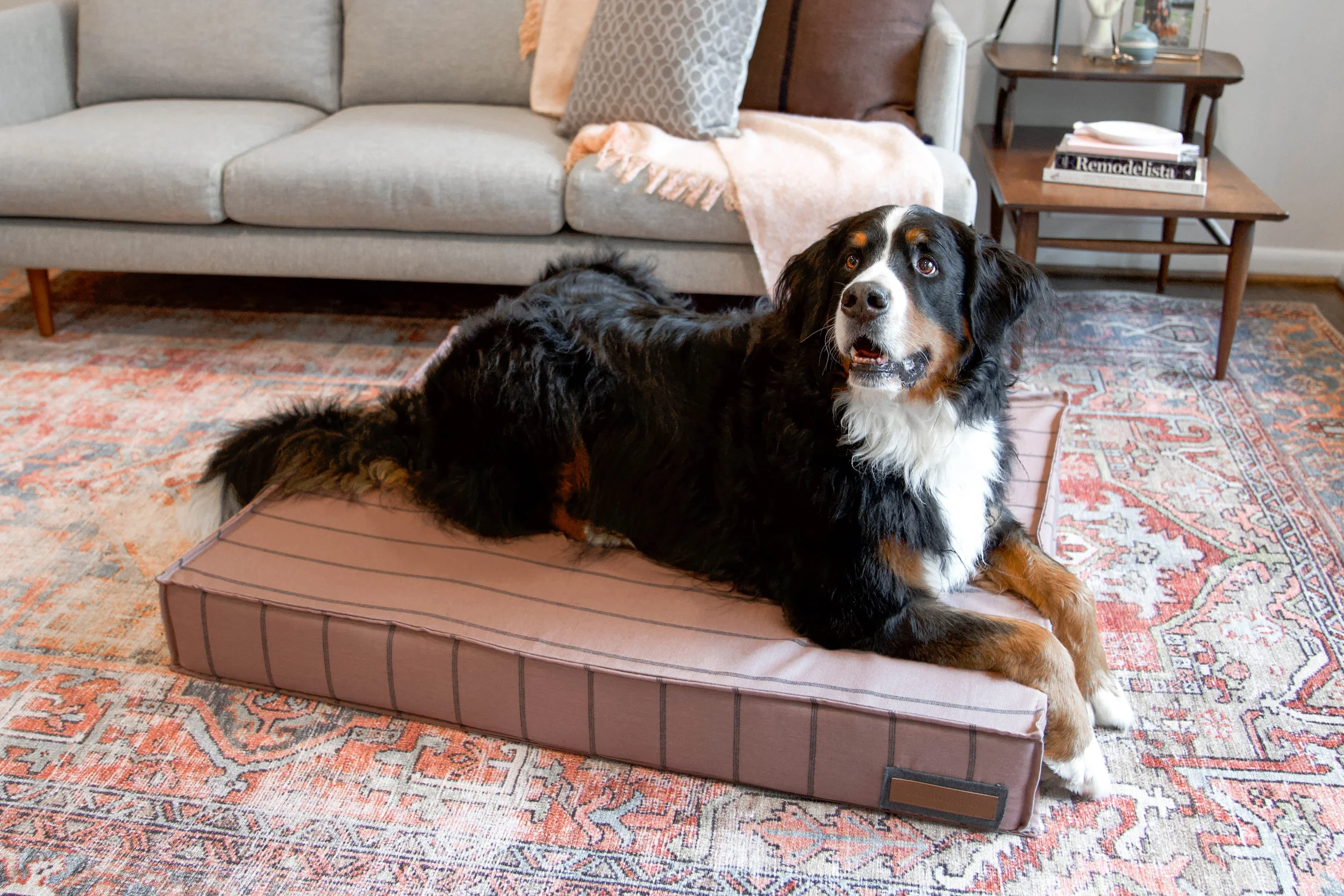 560006-Blushing Basset-The Houndry Pet Beds-Rect-3.jpg
