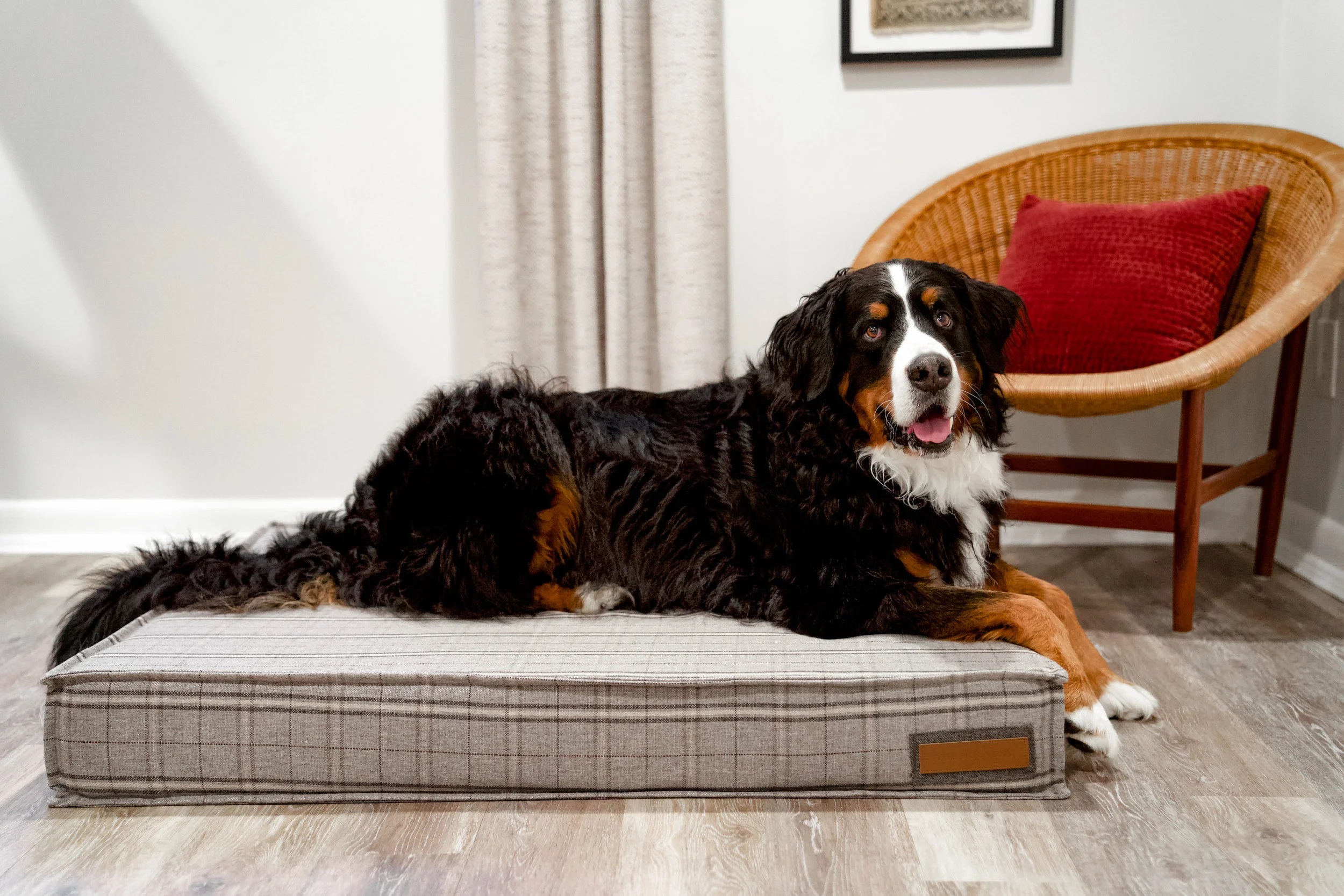 560008-Grey Hound-The Houndry Pet Beds-Rect-3.jpg