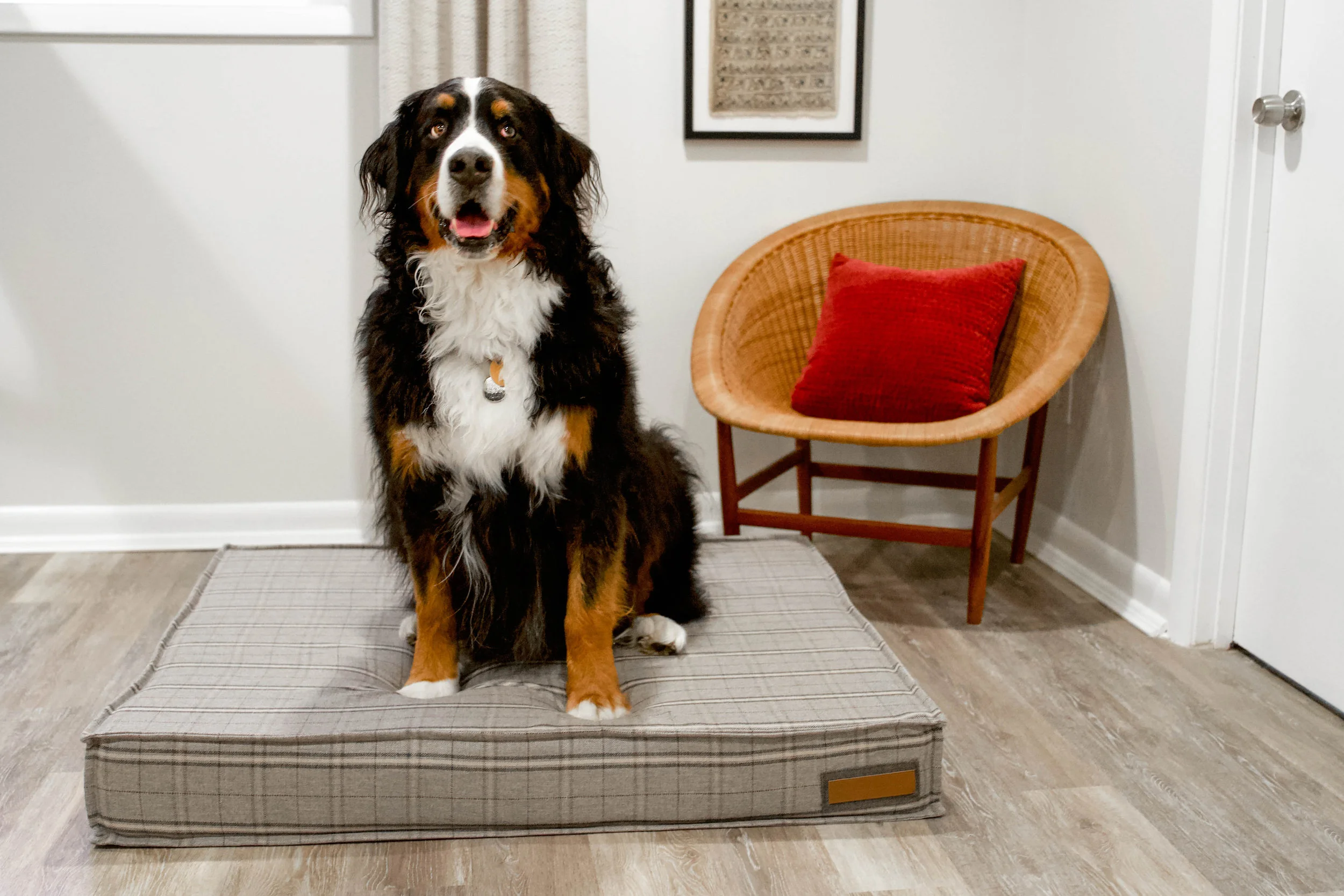560008-Grey Hound-The Houndry Pet Beds-Rect-4.jpg
