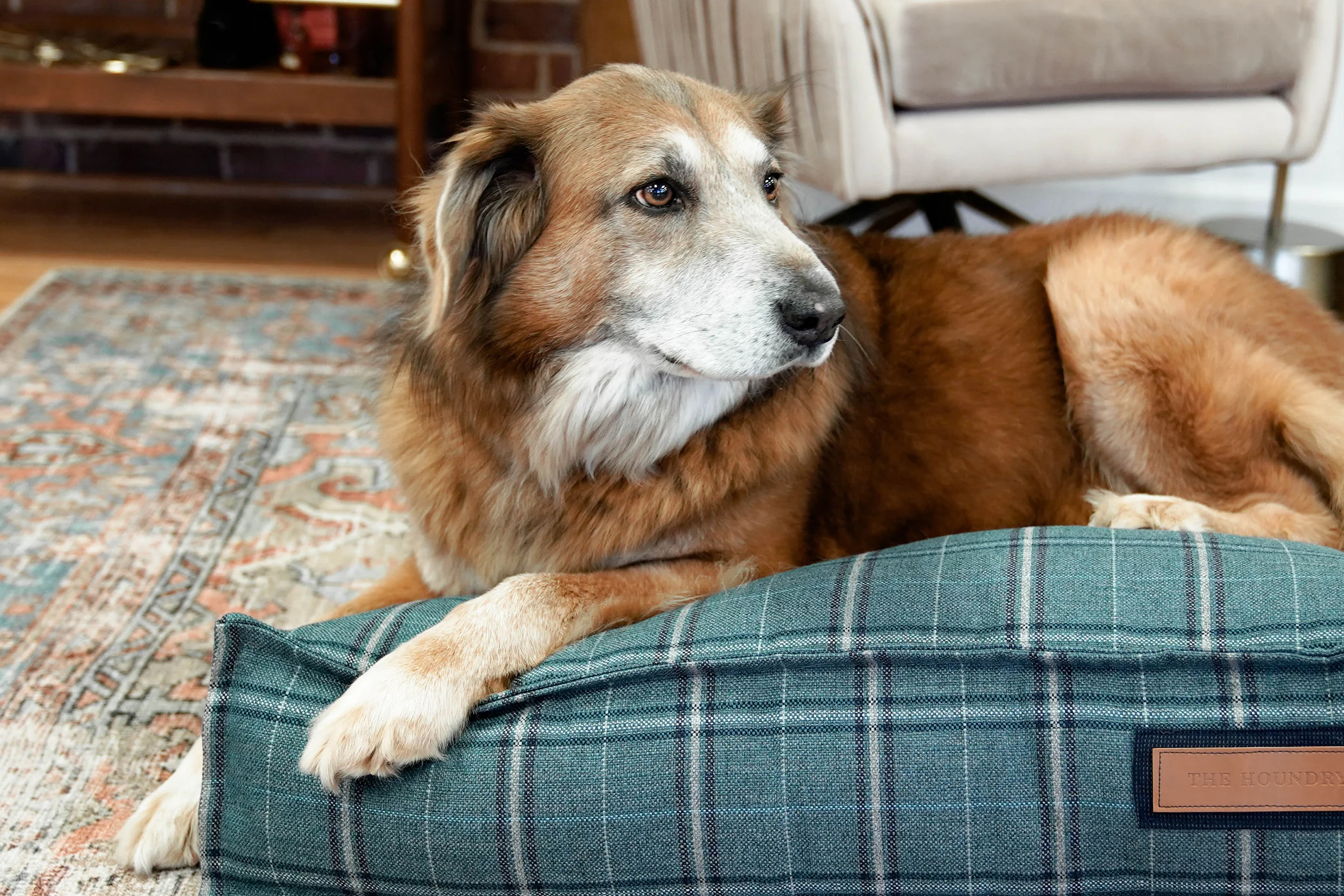 560007-Peacock Pooch-The Houndry Pet Beds-Rect-2.jpg
