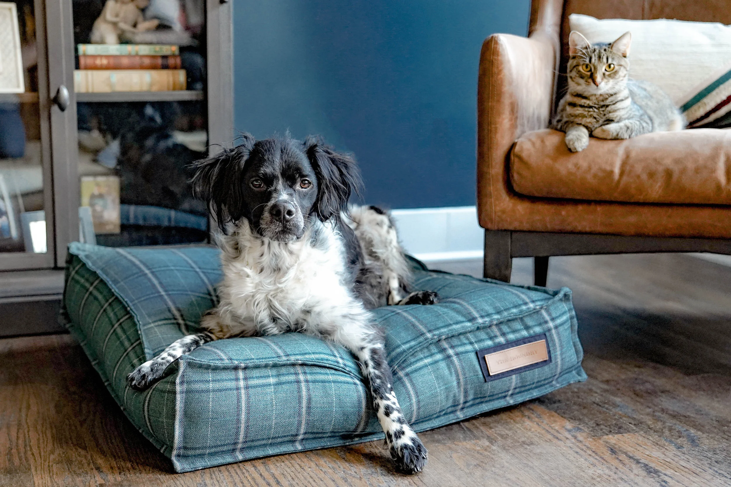 560007-Peacock Pooch-The Houndry Pet Beds-Rect-3.jpg
