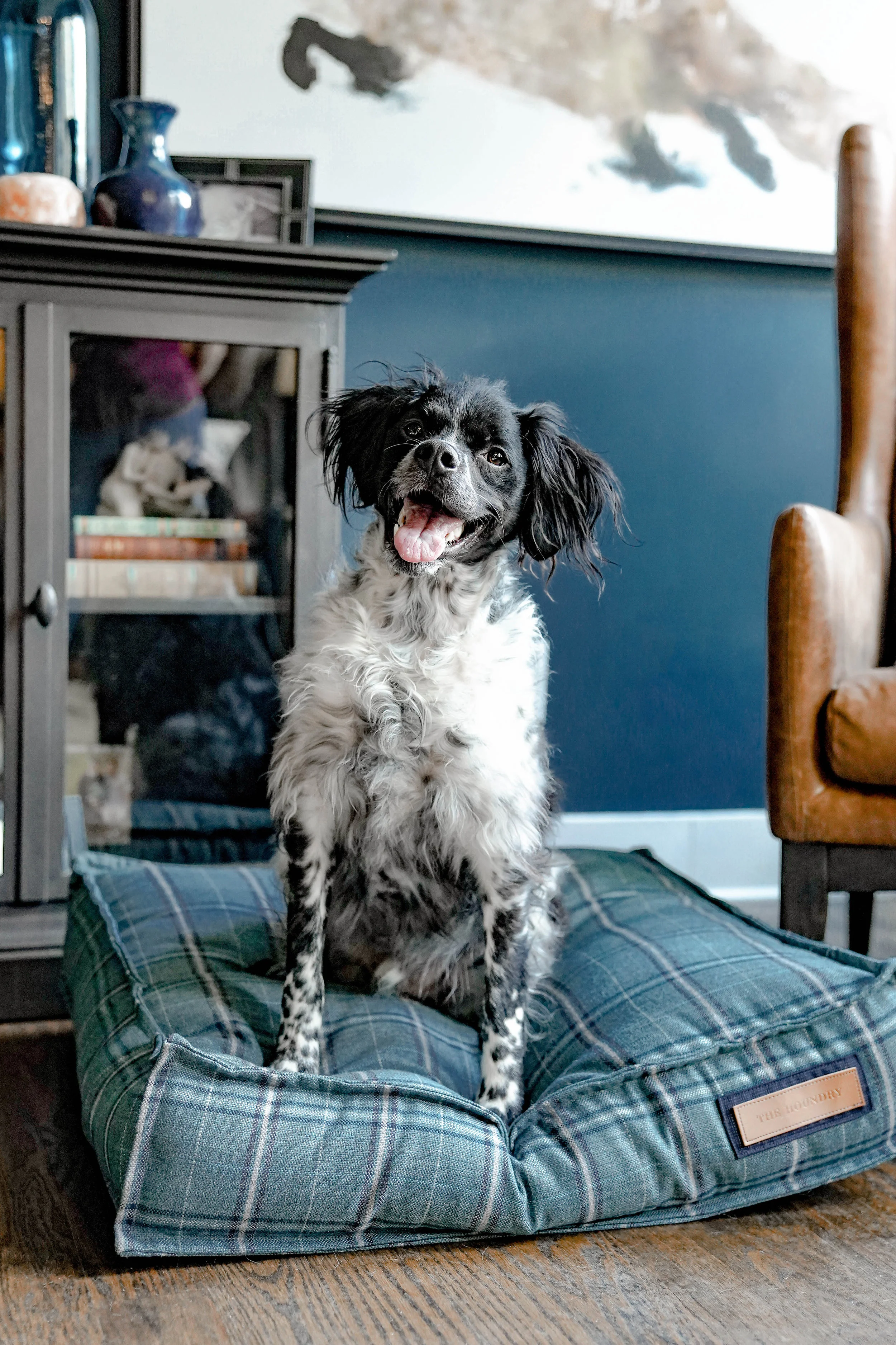 560007-Peacock Pooch-The Houndry Pet Beds-Rect-4.jpg
