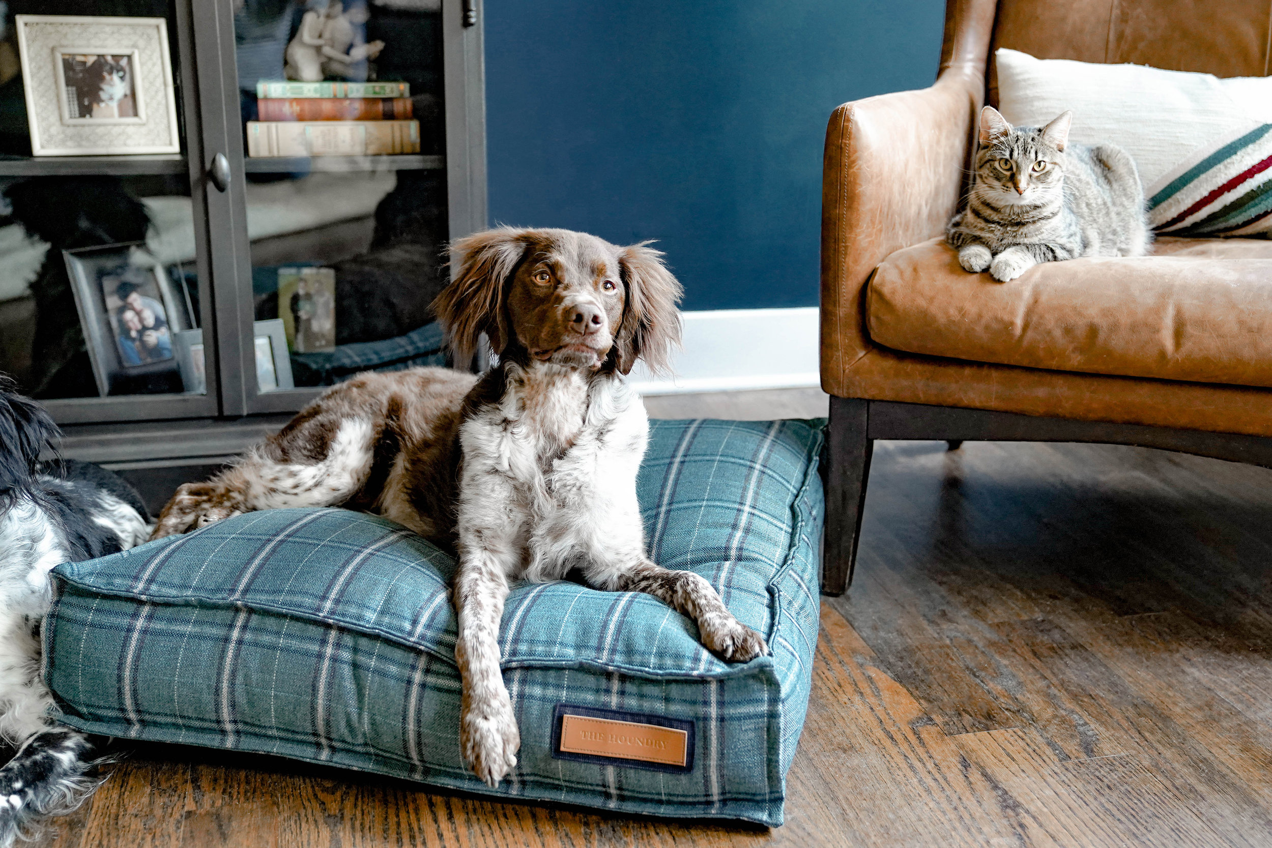 560007-Peacock Pooch-The Houndry Pet Beds-Rect-7.jpg