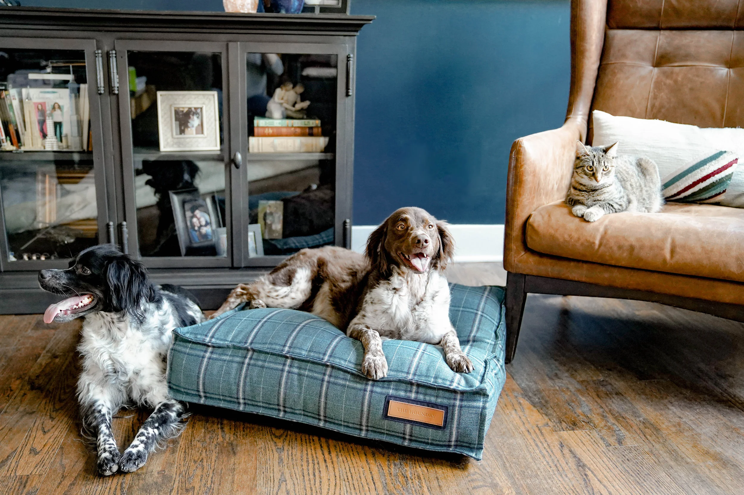 560007-Peacock Pooch-The Houndry Pet Beds-Rect-6.jpg