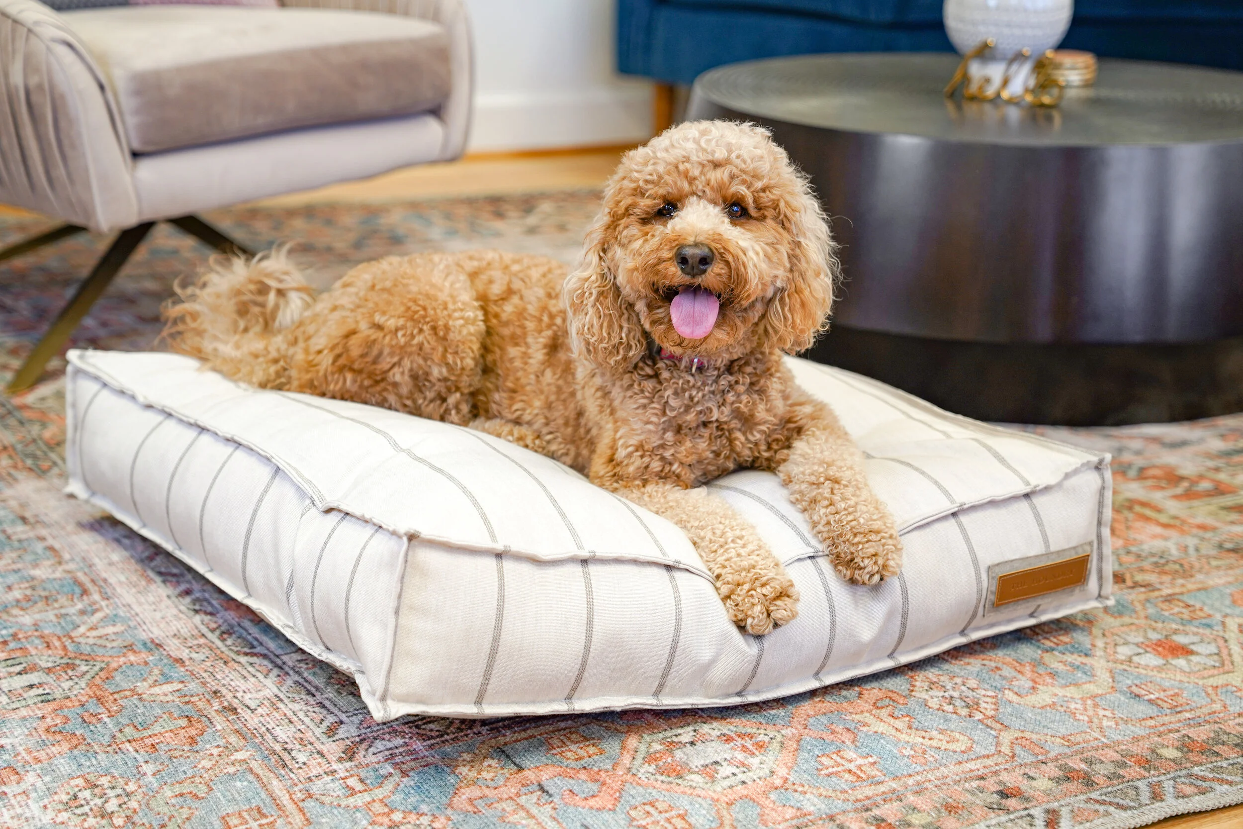 560005-Parchment Pointer-The Houndry Pet Beds-1.jpg