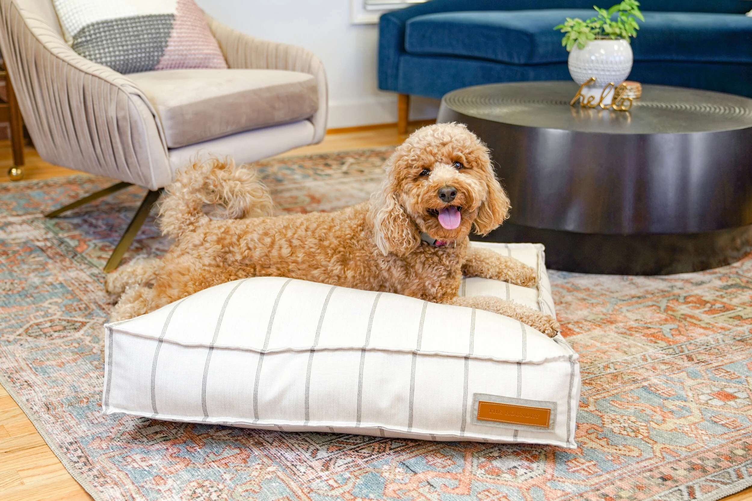 560005-Parchment Pointer-The Houndry Pet Beds-3.jpg