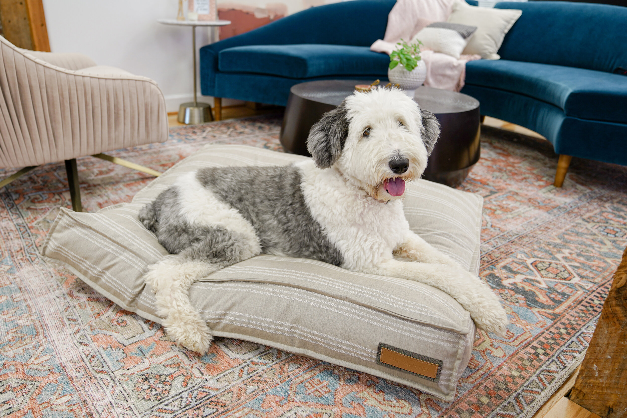 560004-Leased Linen-The Houndry Pet Beds-1.jpg