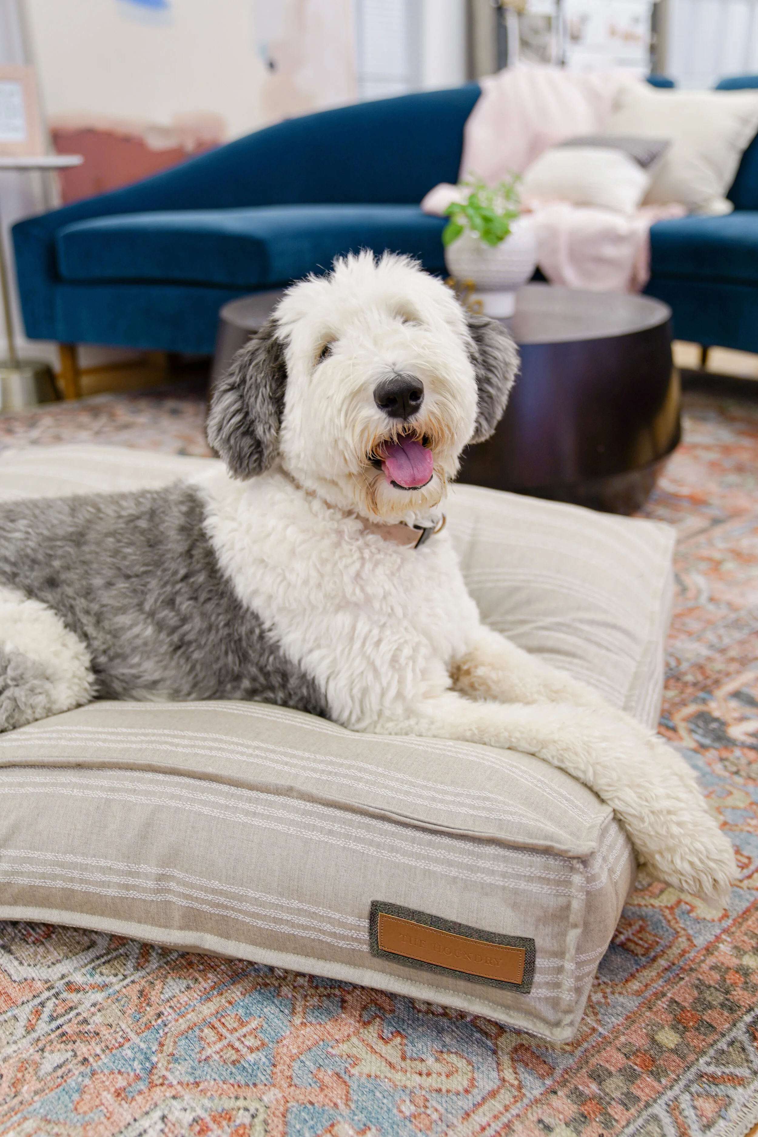 560004-Leased Linen-The Houndry Pet Beds-2.jpg