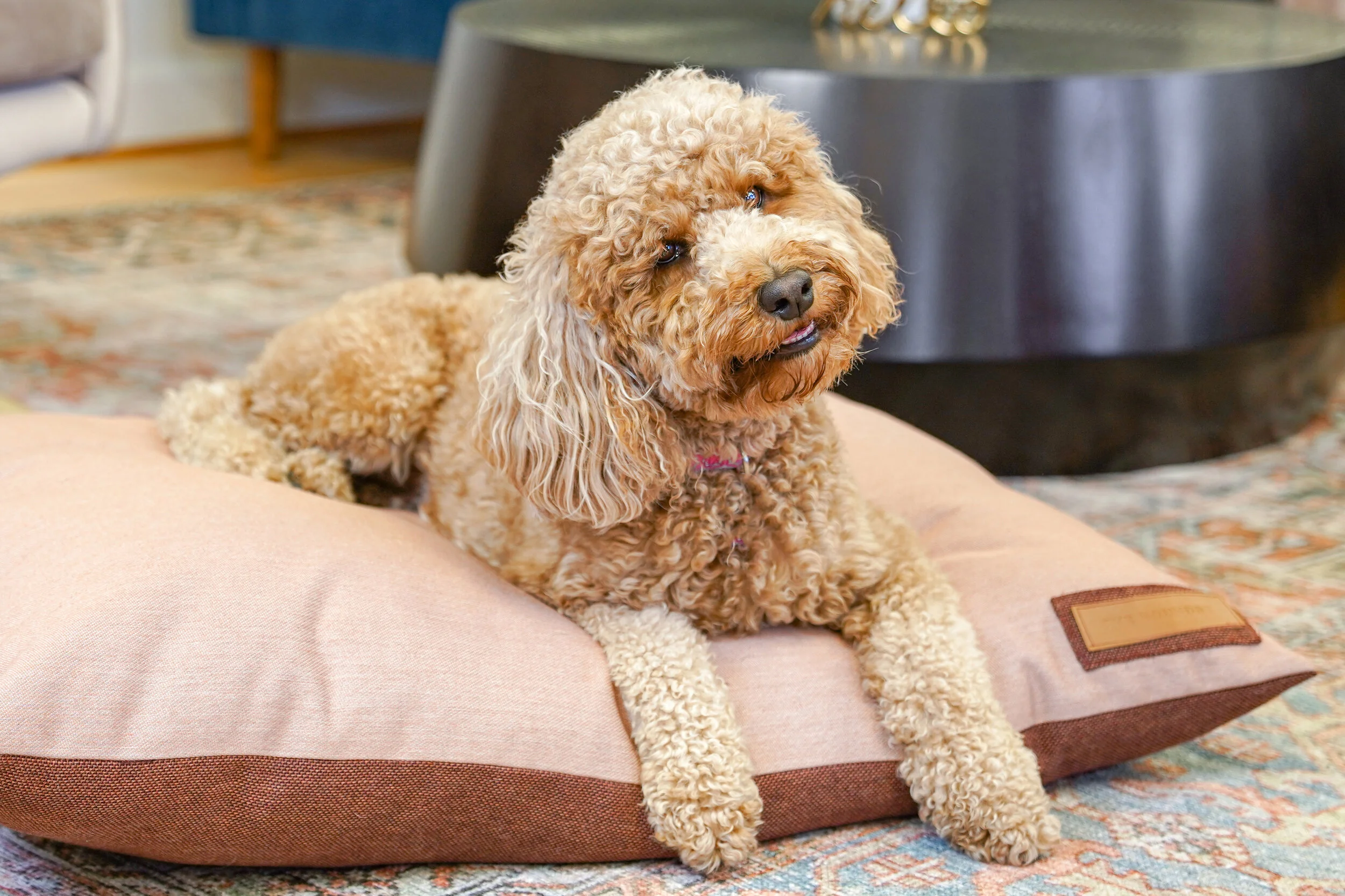 retriever pillow pet bed